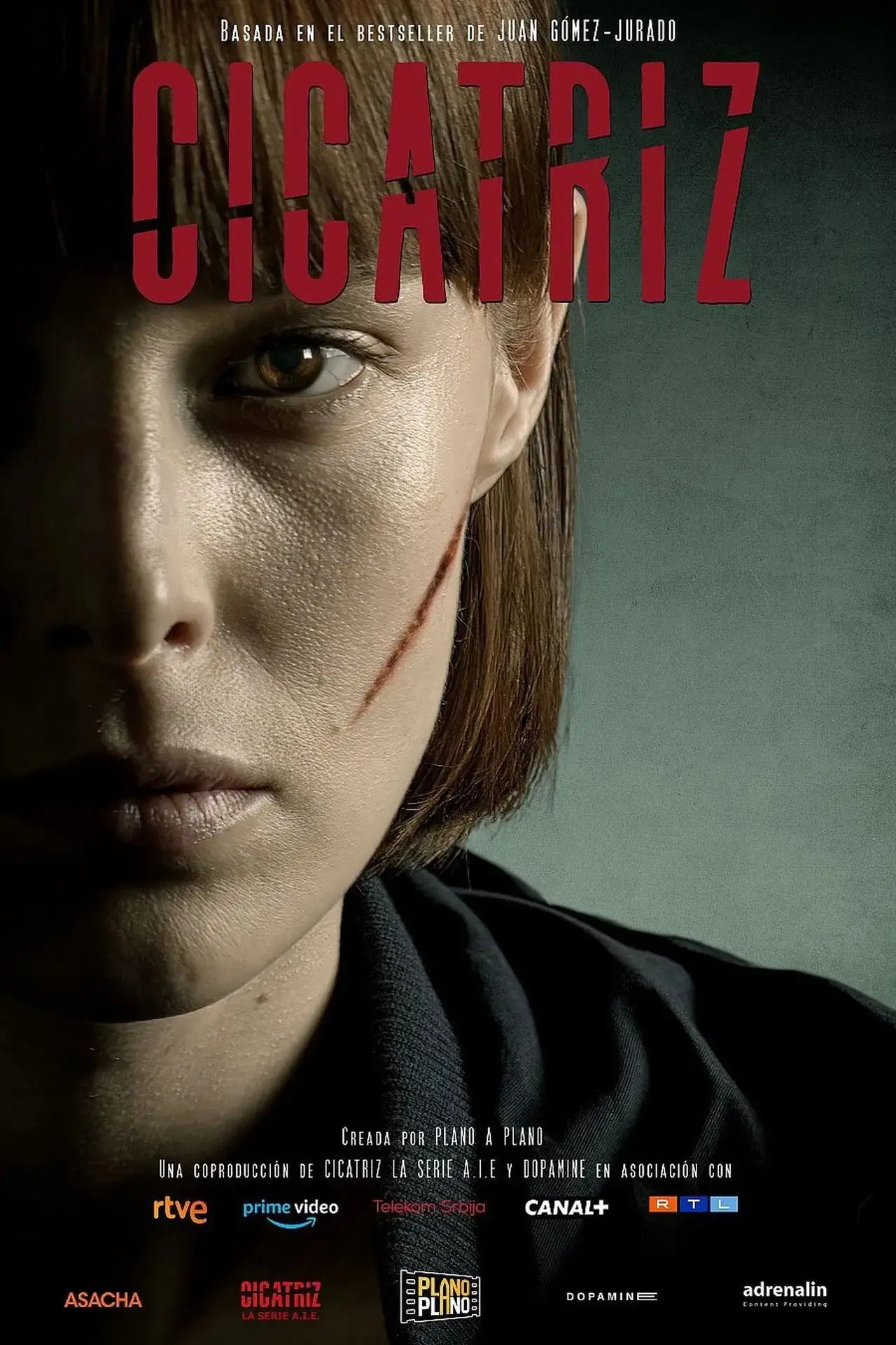 Постер к сериалу "Шрам"
