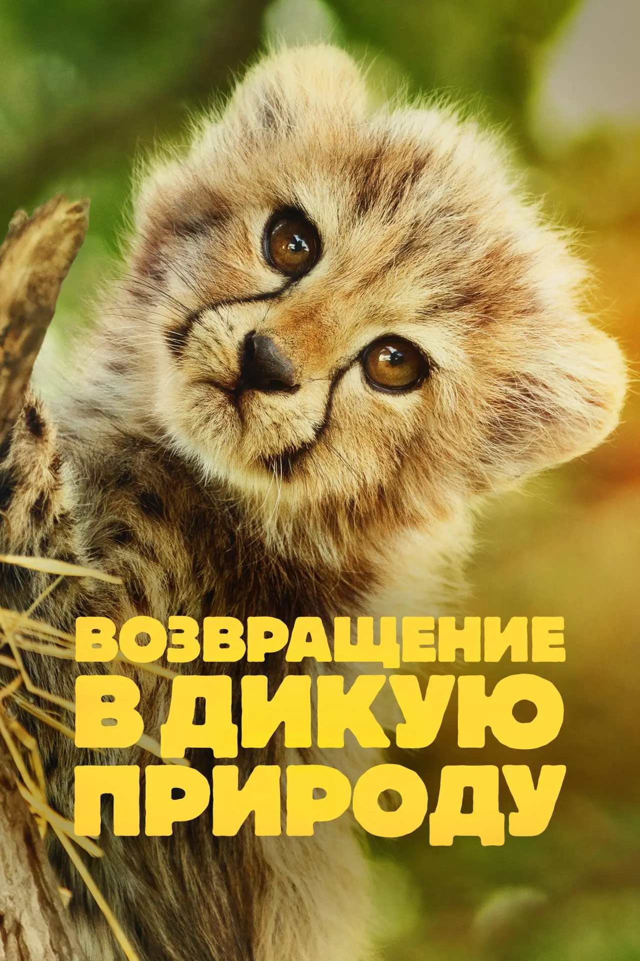 Постер к сериалу "Возвращение в дикую природу"