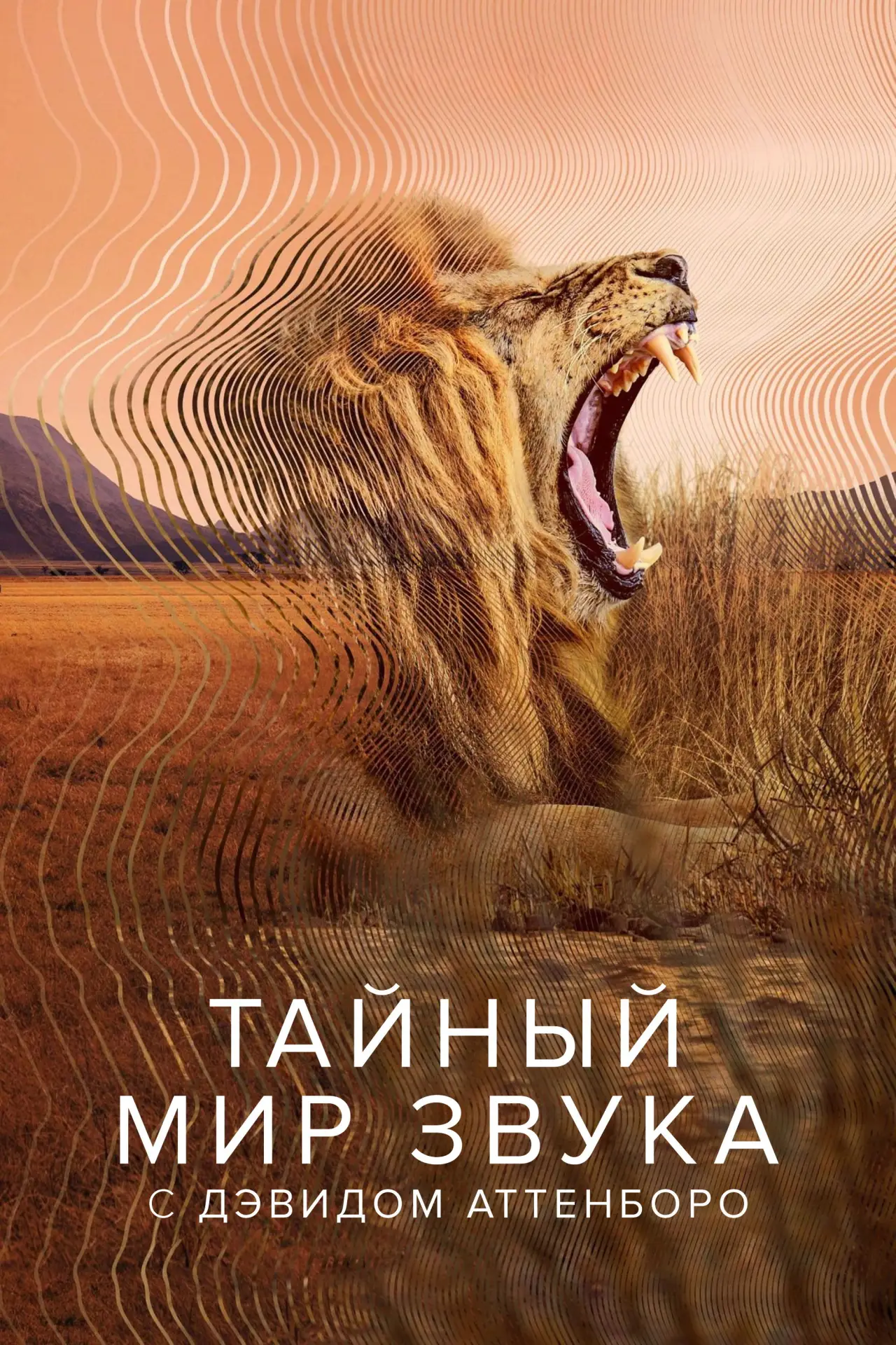 Постер к сериалу "Тайный мир звука с Дэвидом Аттенборо"