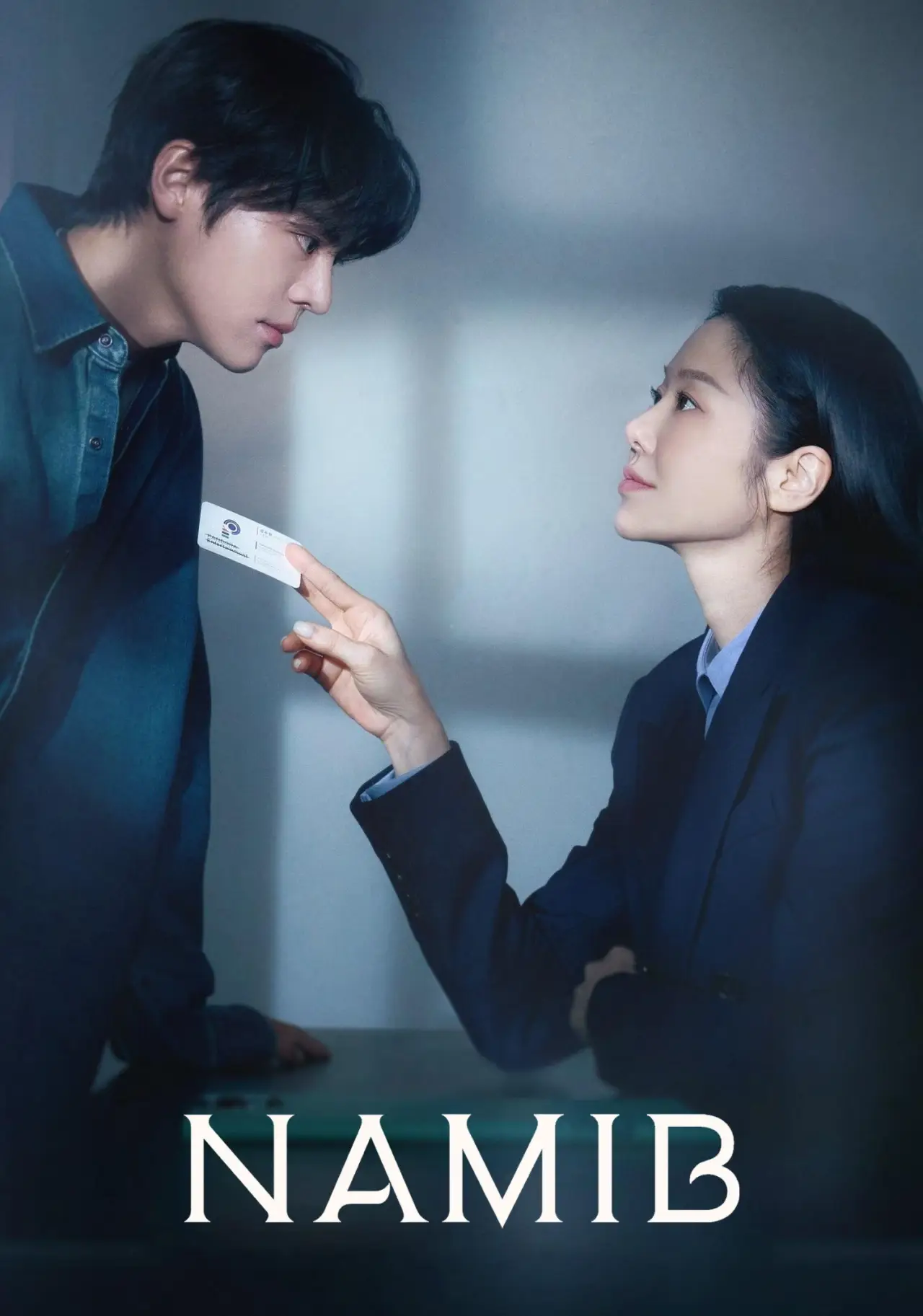 Постер к сериалу "나미브"