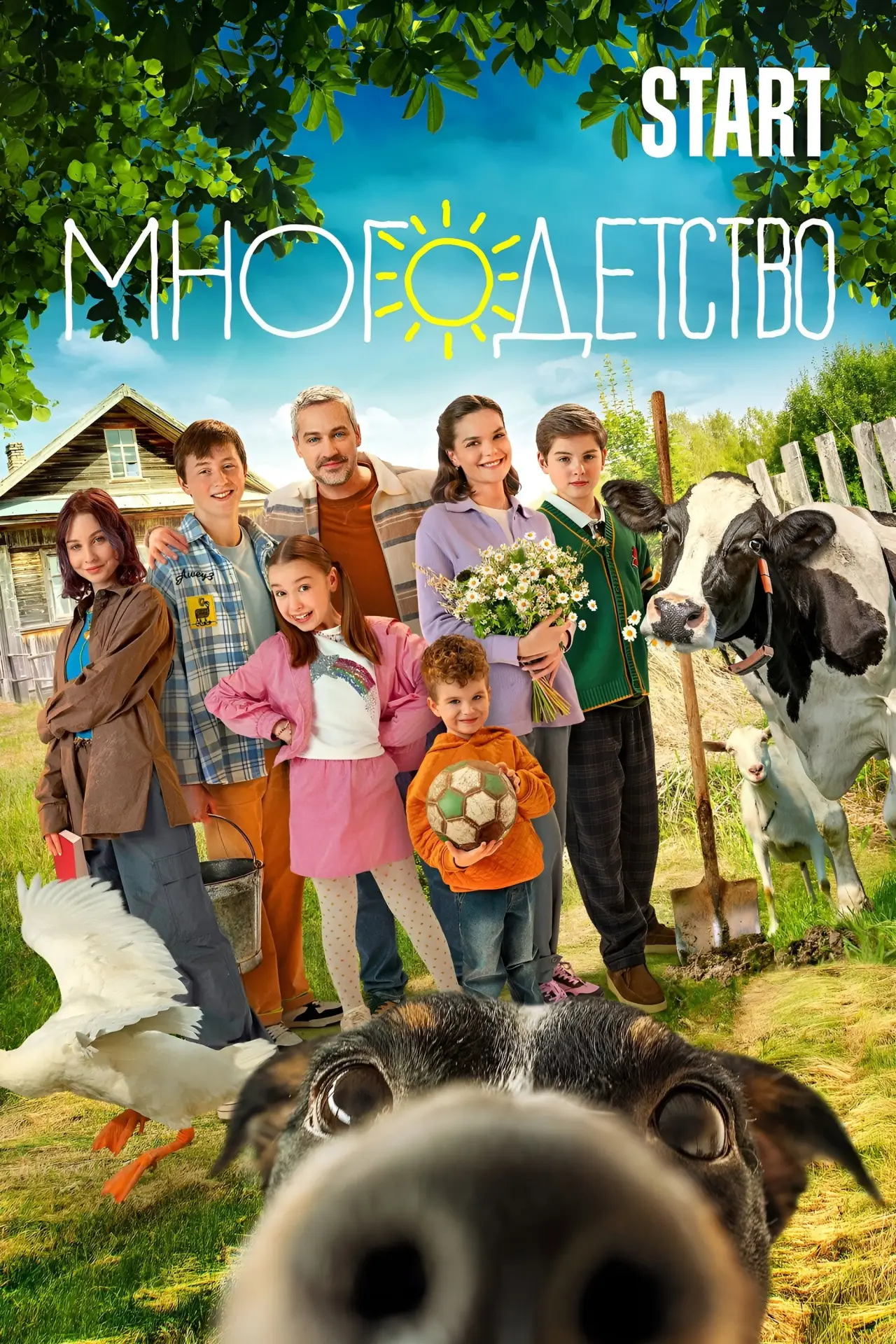 Постер к сериалу "Многодетство"