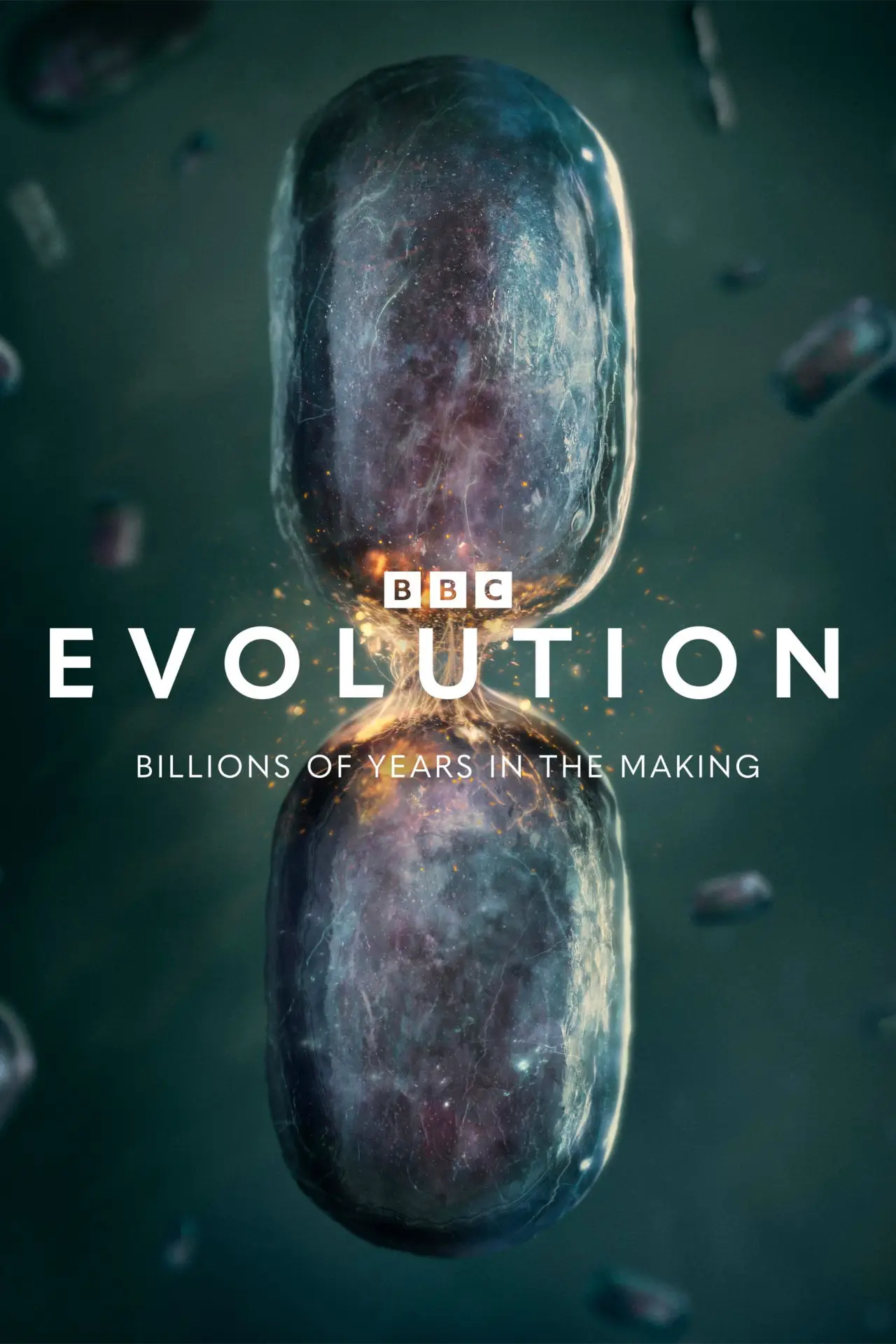 Постер к сериалу "Evolution"