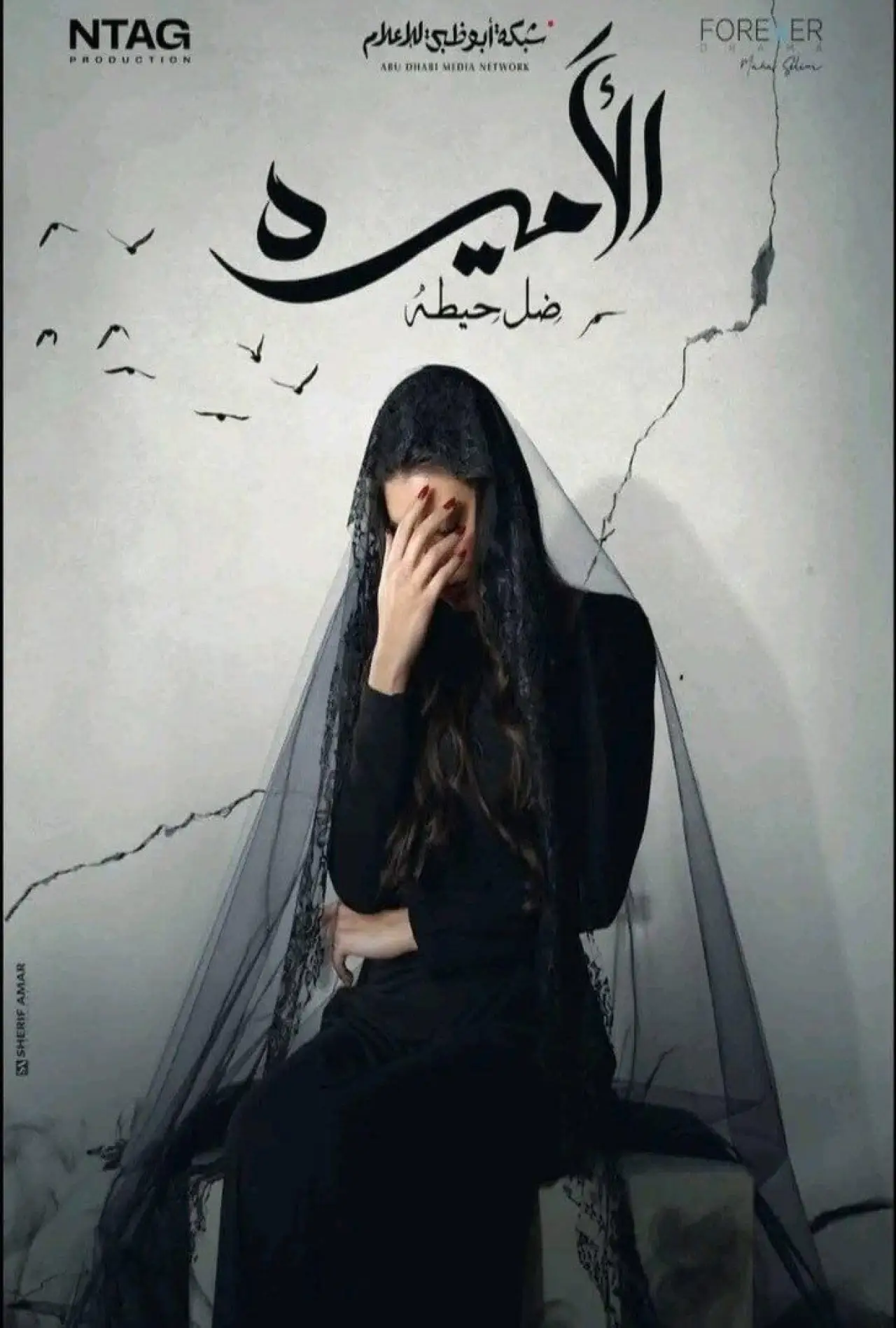 Постер к сериалу "Аль-Амира: Тхилл Хайта"