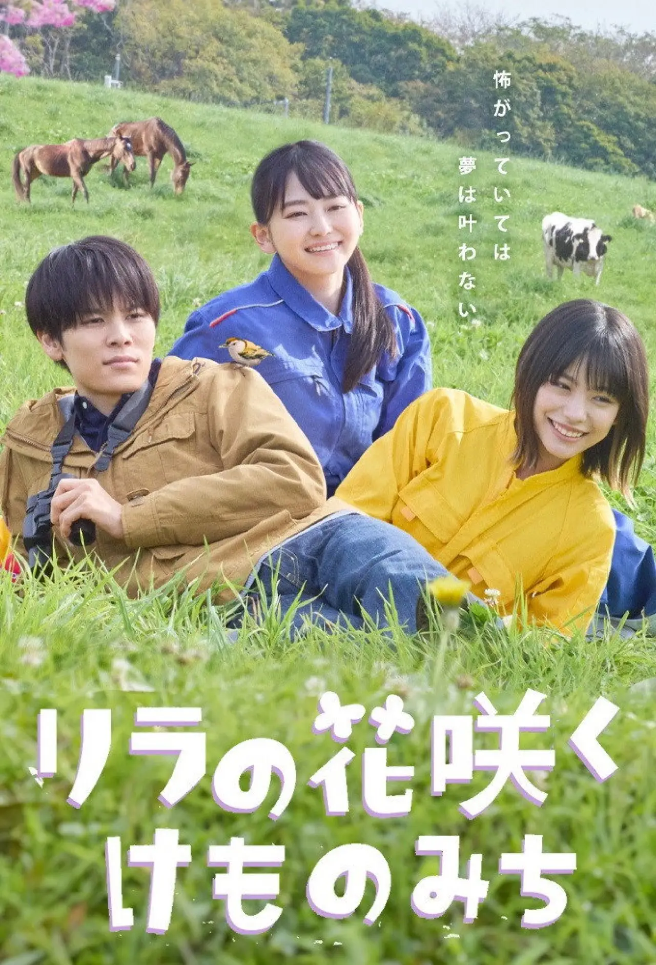 Постер к сериалу "リラの花咲くけものみち"
