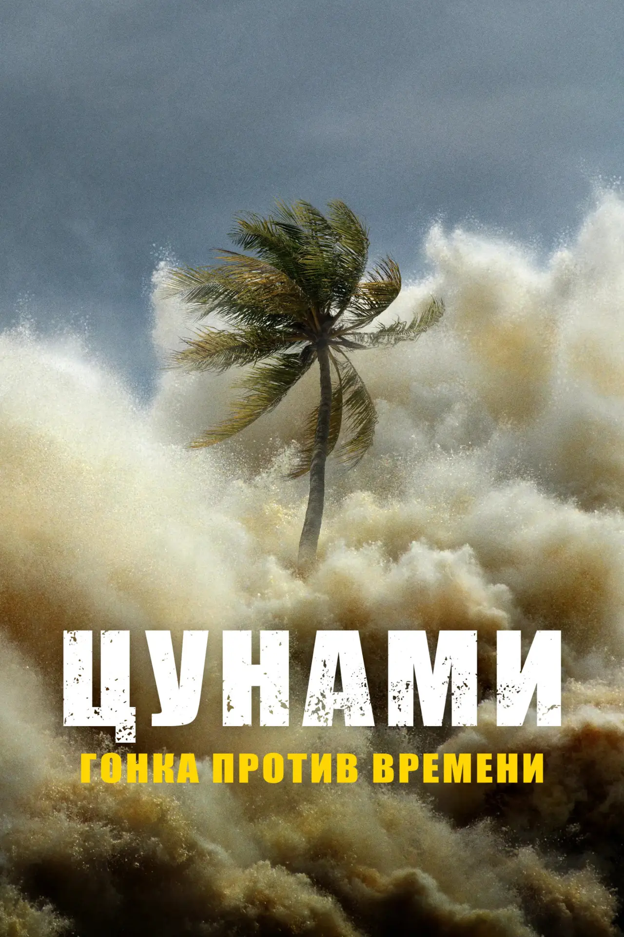 Постер к сериалу "Цунами: наперегонки со временем"
