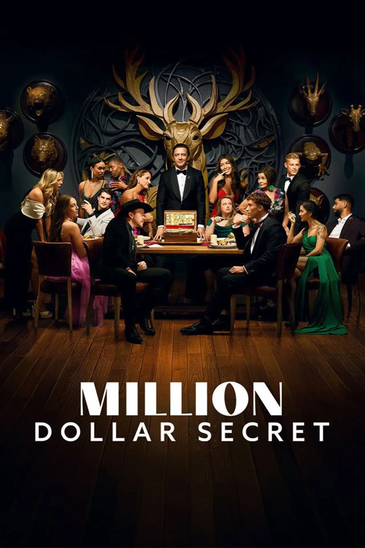 Постер к сериалу "Секрет на миллион долларов"