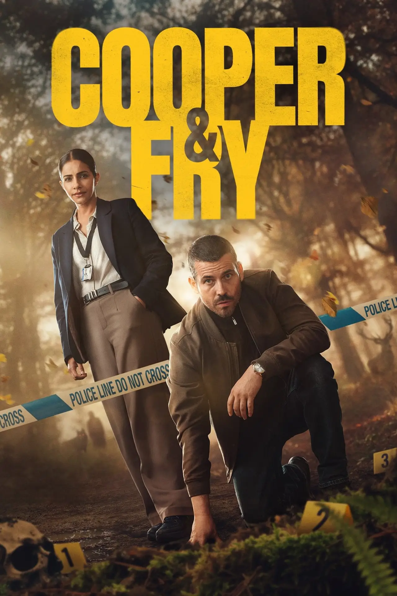 Постер к сериалу "Купер и Фрай"
