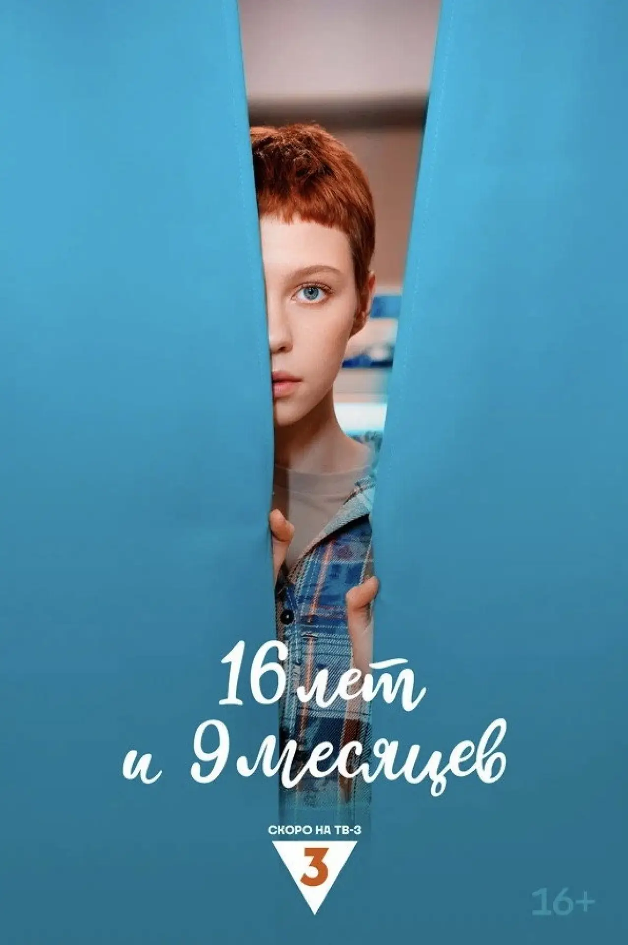 Постер к сериалу "16 лет и 9 месяцев"