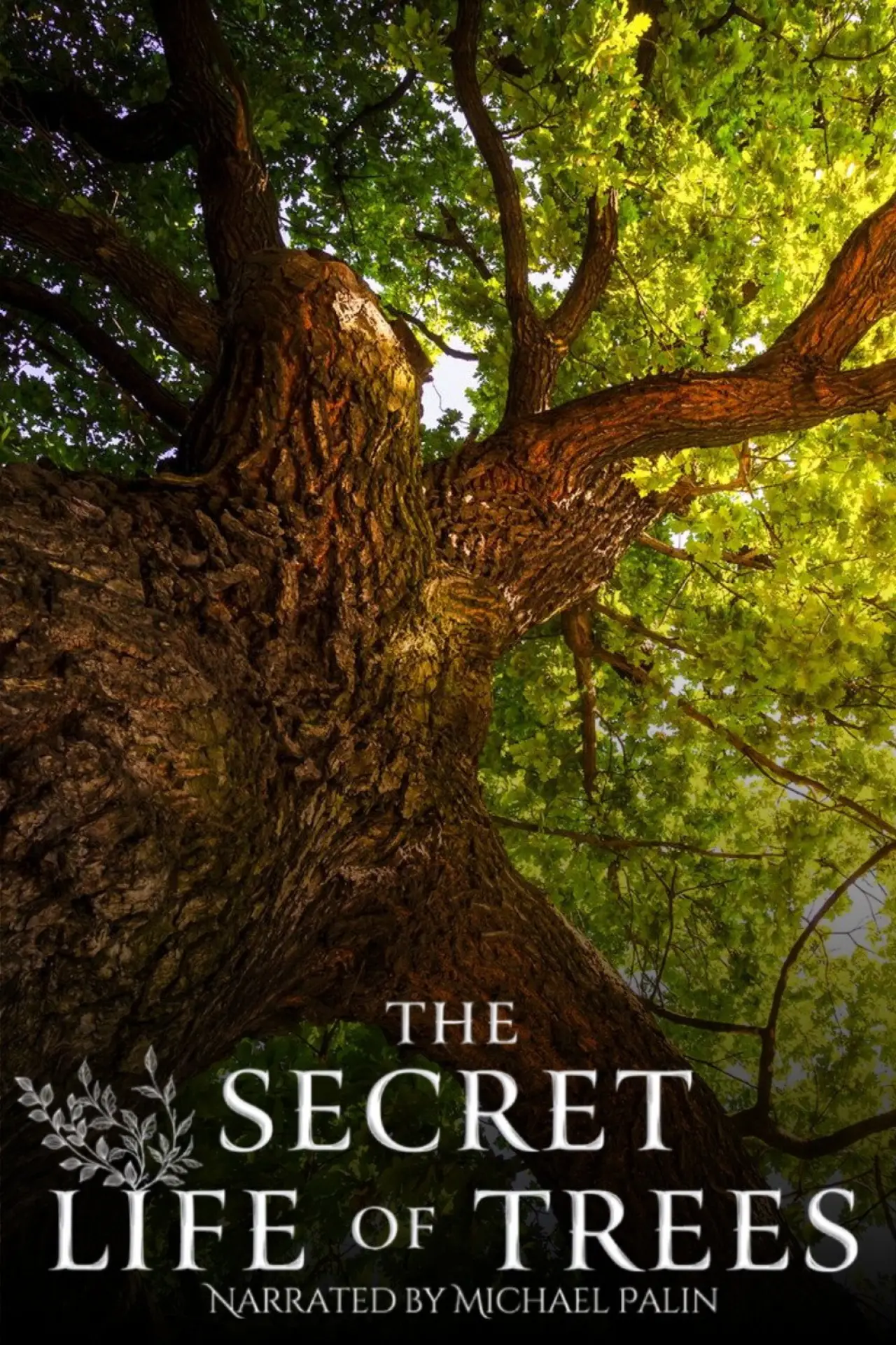 Постер к сериалу "The Secret Life of Trees"