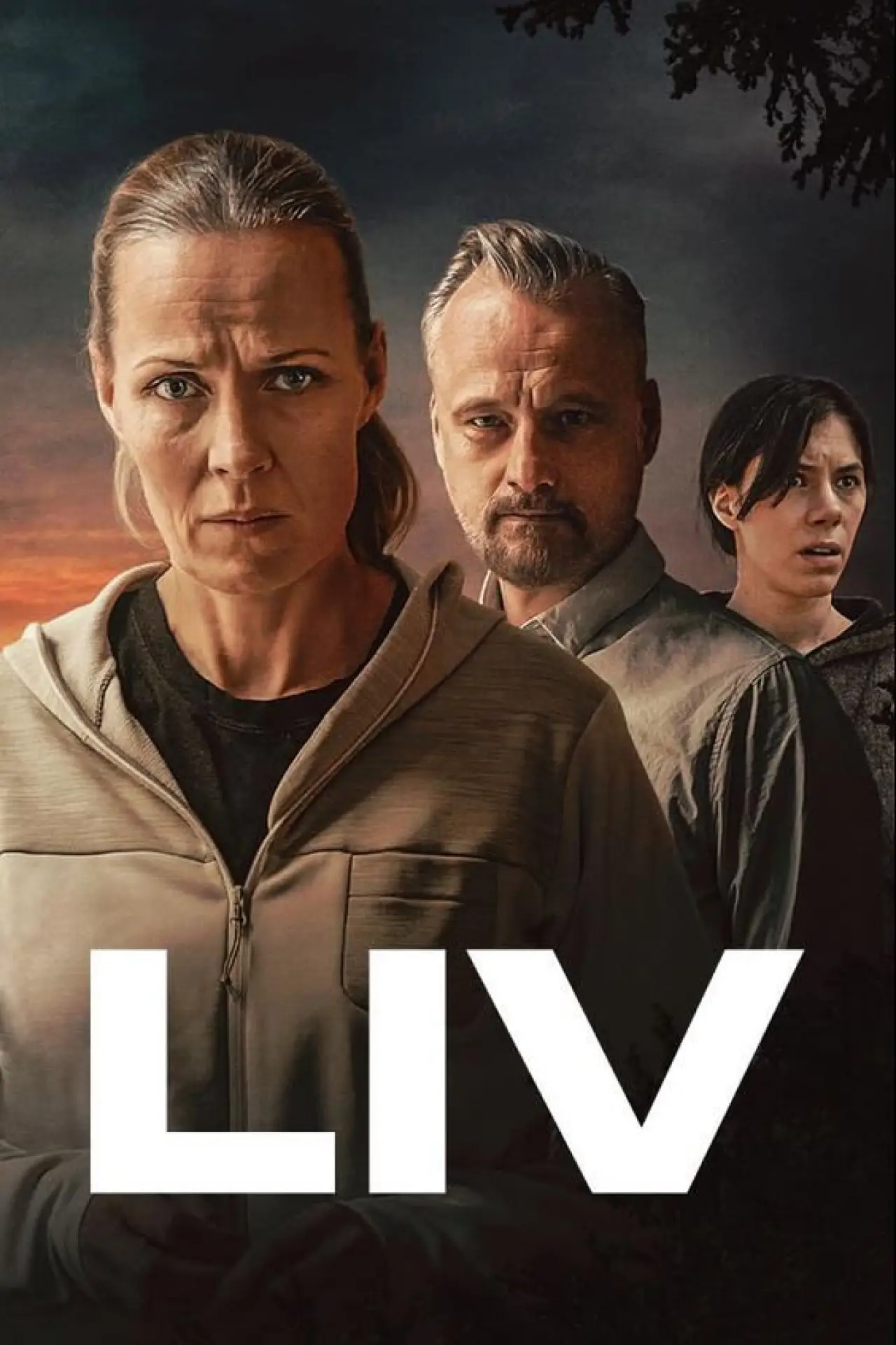 Постер к сериалу "Liv"