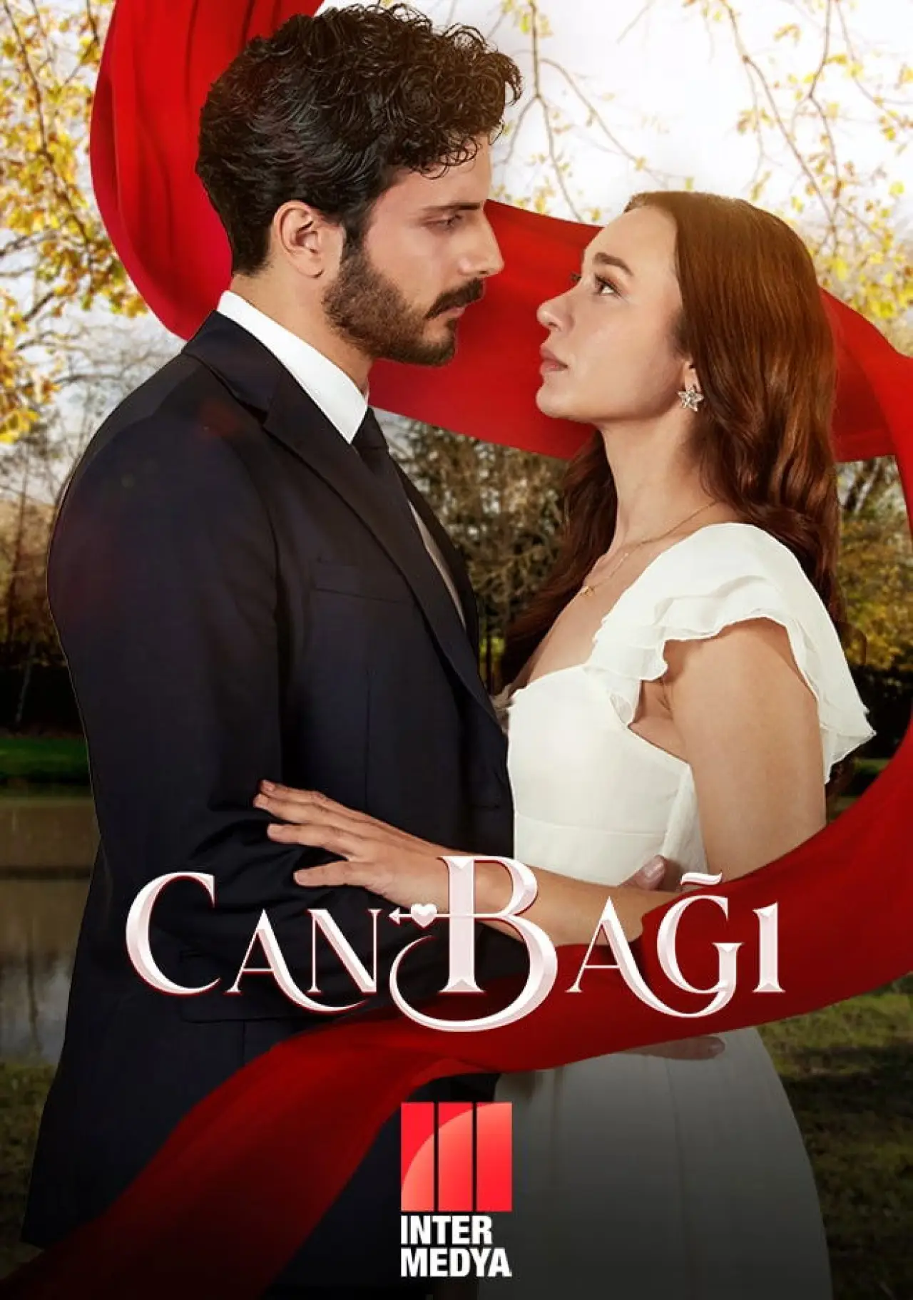 Постер к сериалу "Сердечные струны"