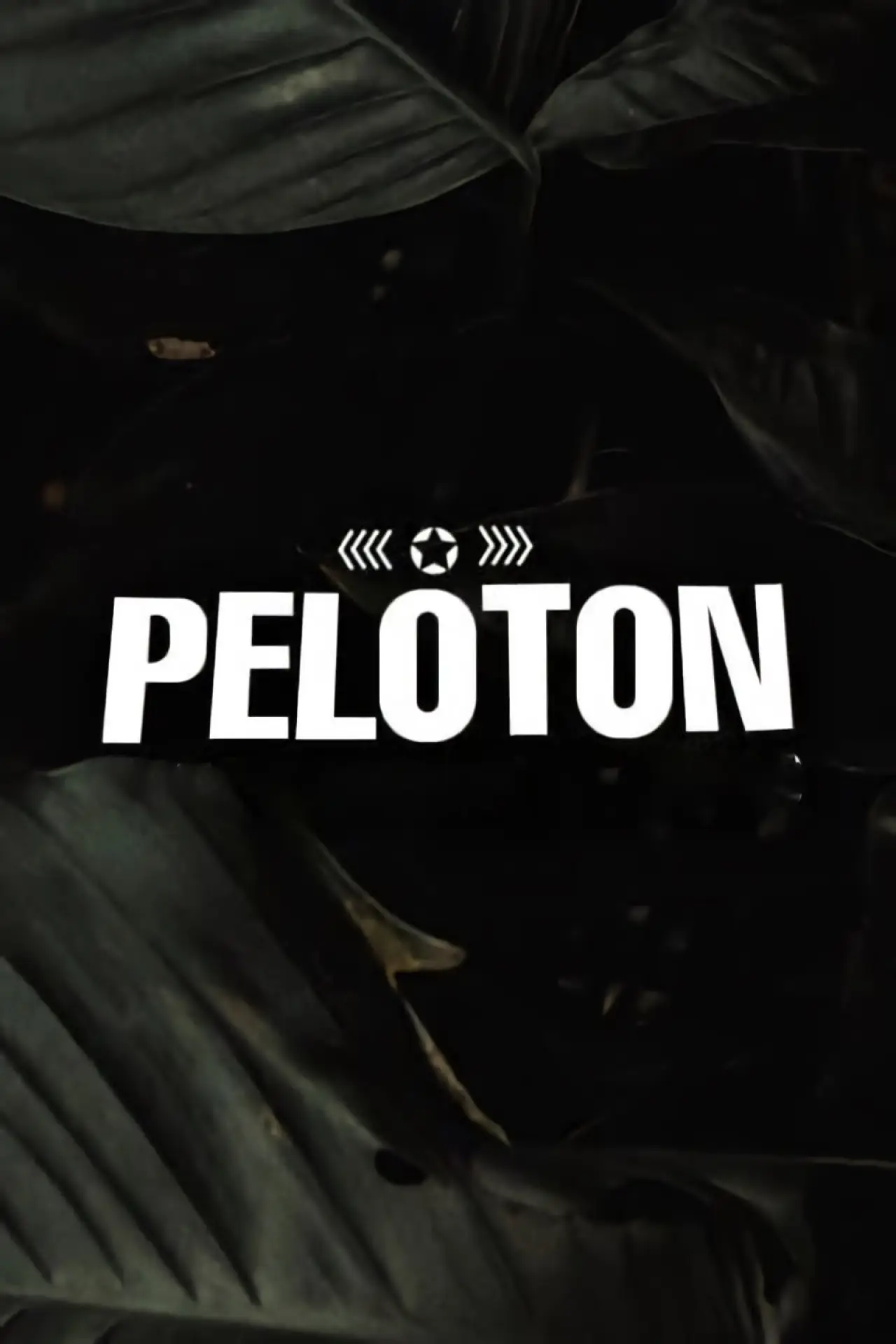 Постер к сериалу "Pelotón"