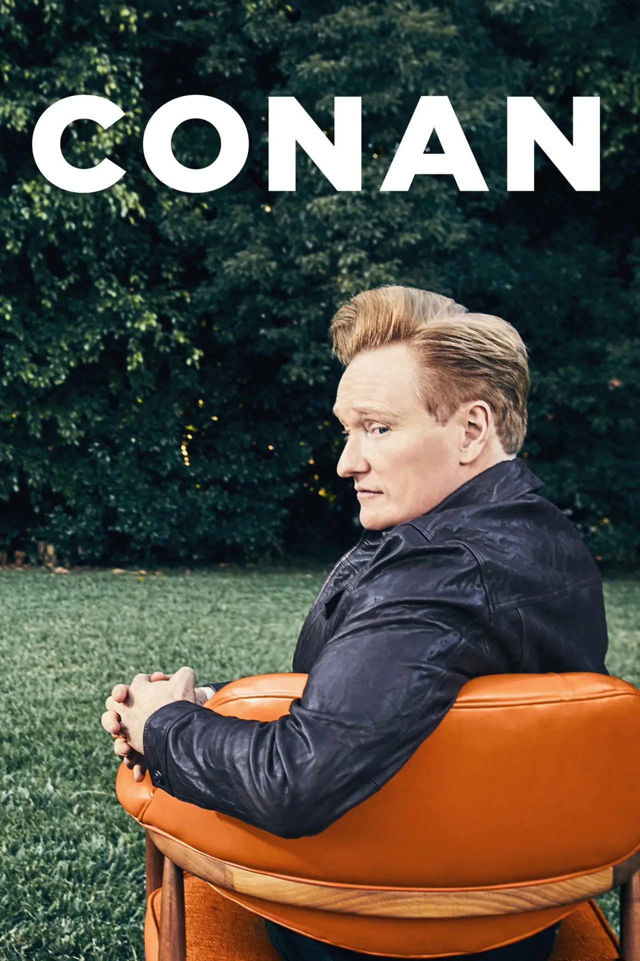 Постер к сериалу "Конан"