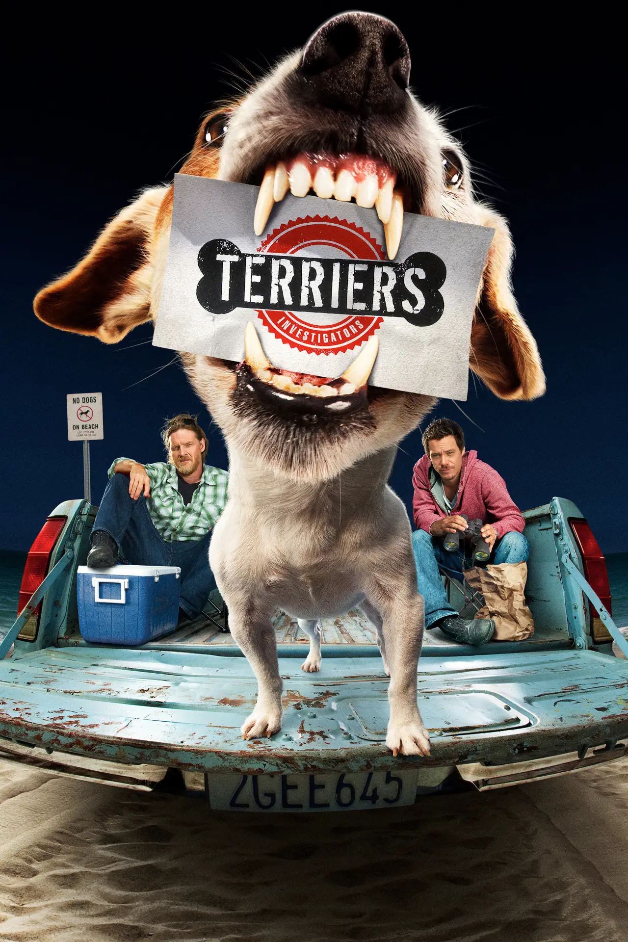Постер к сериалу "Терьеры"