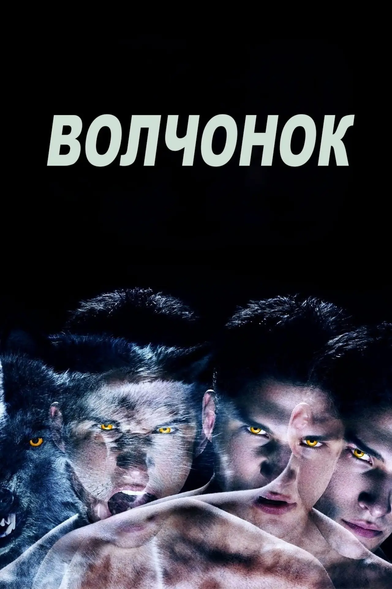 Постер к сериалу "Волчонок"