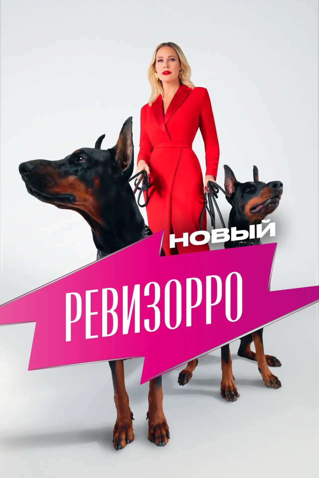 Постер к сериалу "Новый Ревизорро"