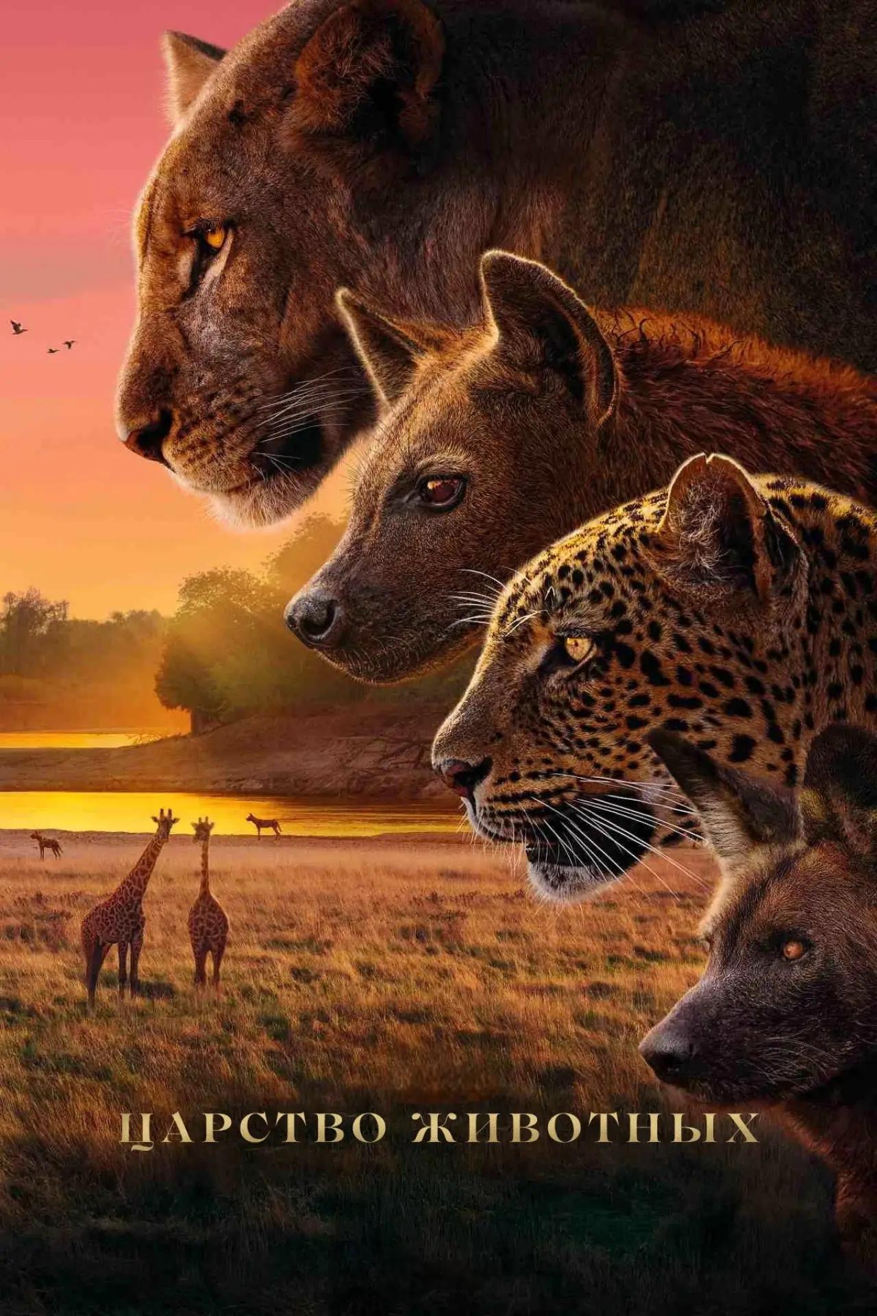 Постер к сериалу "Королевство"