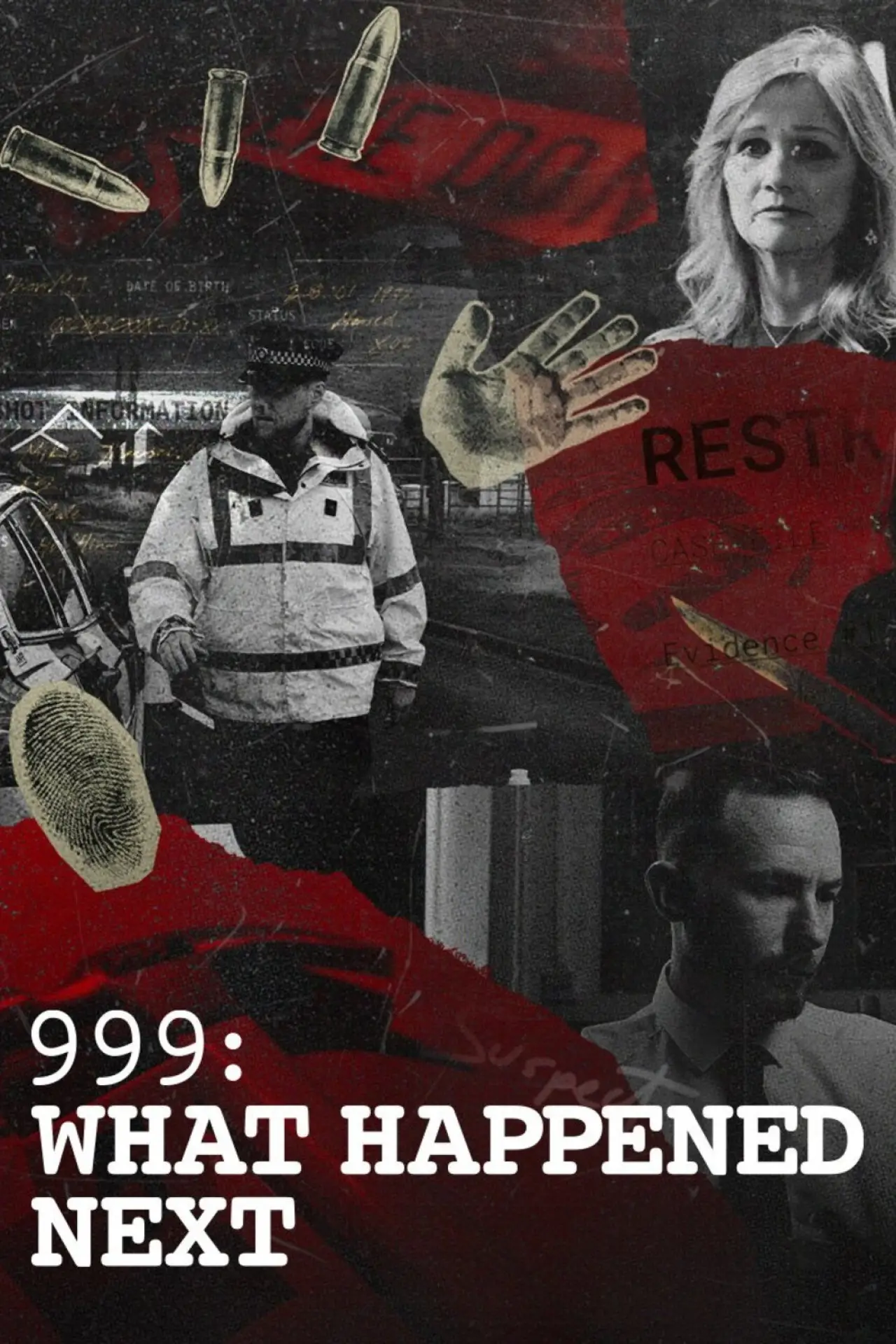Постер к сериалу "999: What Happened Next"