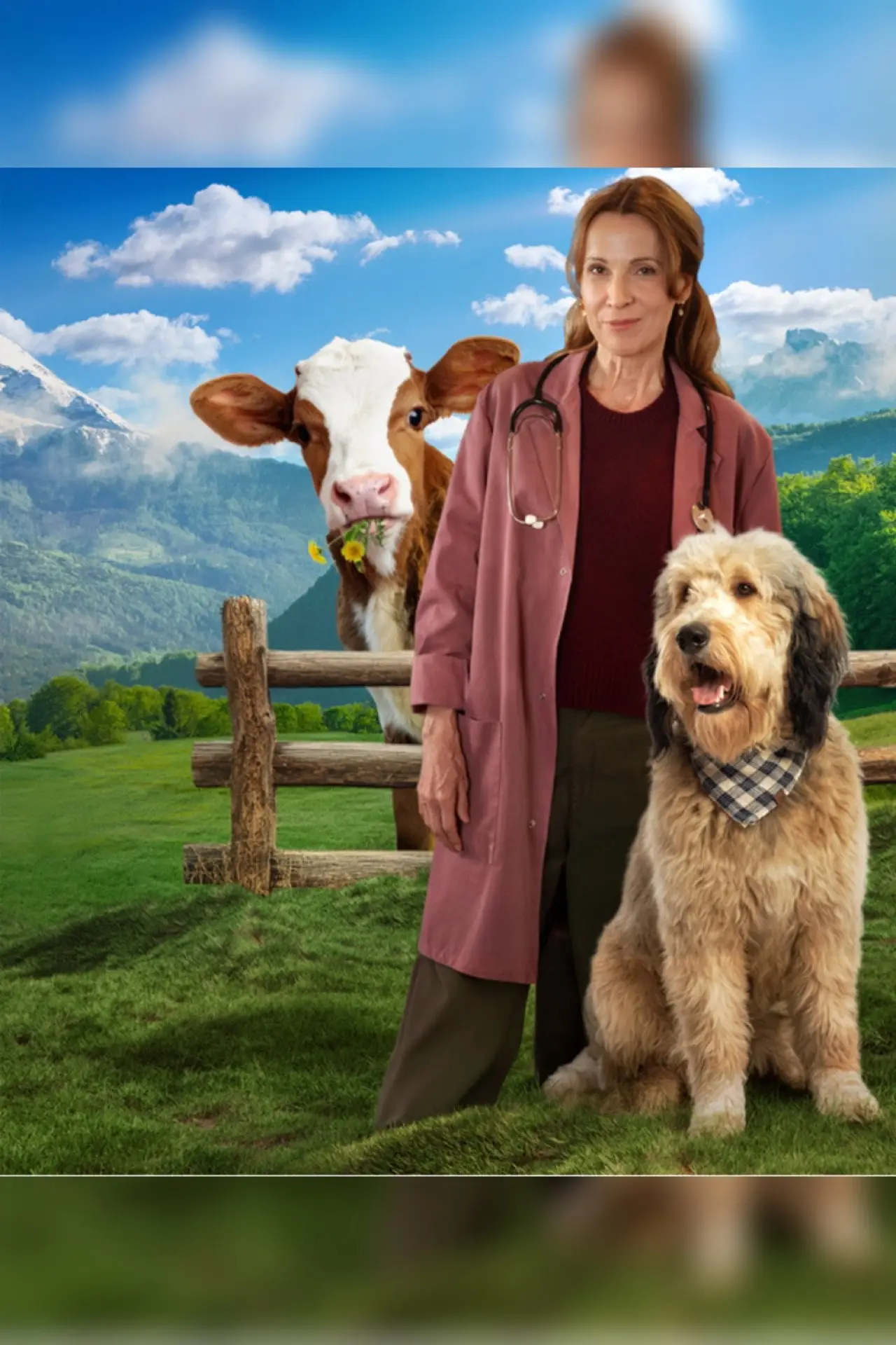 Постер к сериалу "Die Maiwald"