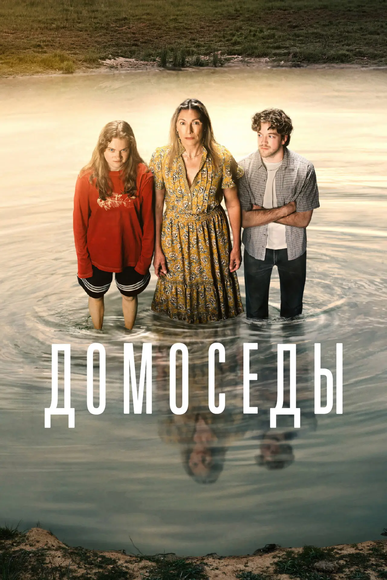 Постер к сериалу "Домоседы"