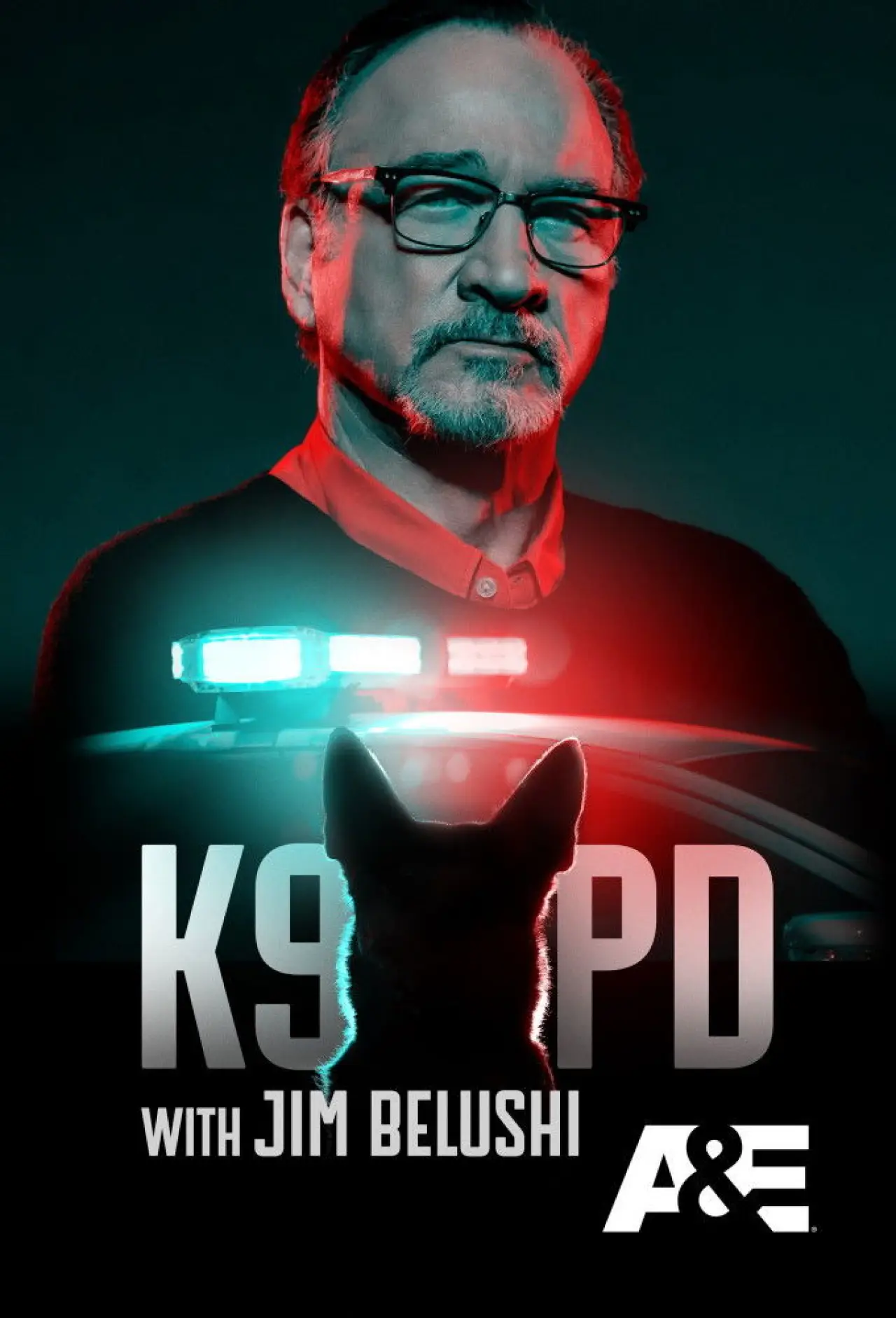 Постер к сериалу "К-9: Собачья работа с Джеймсом Белуши"