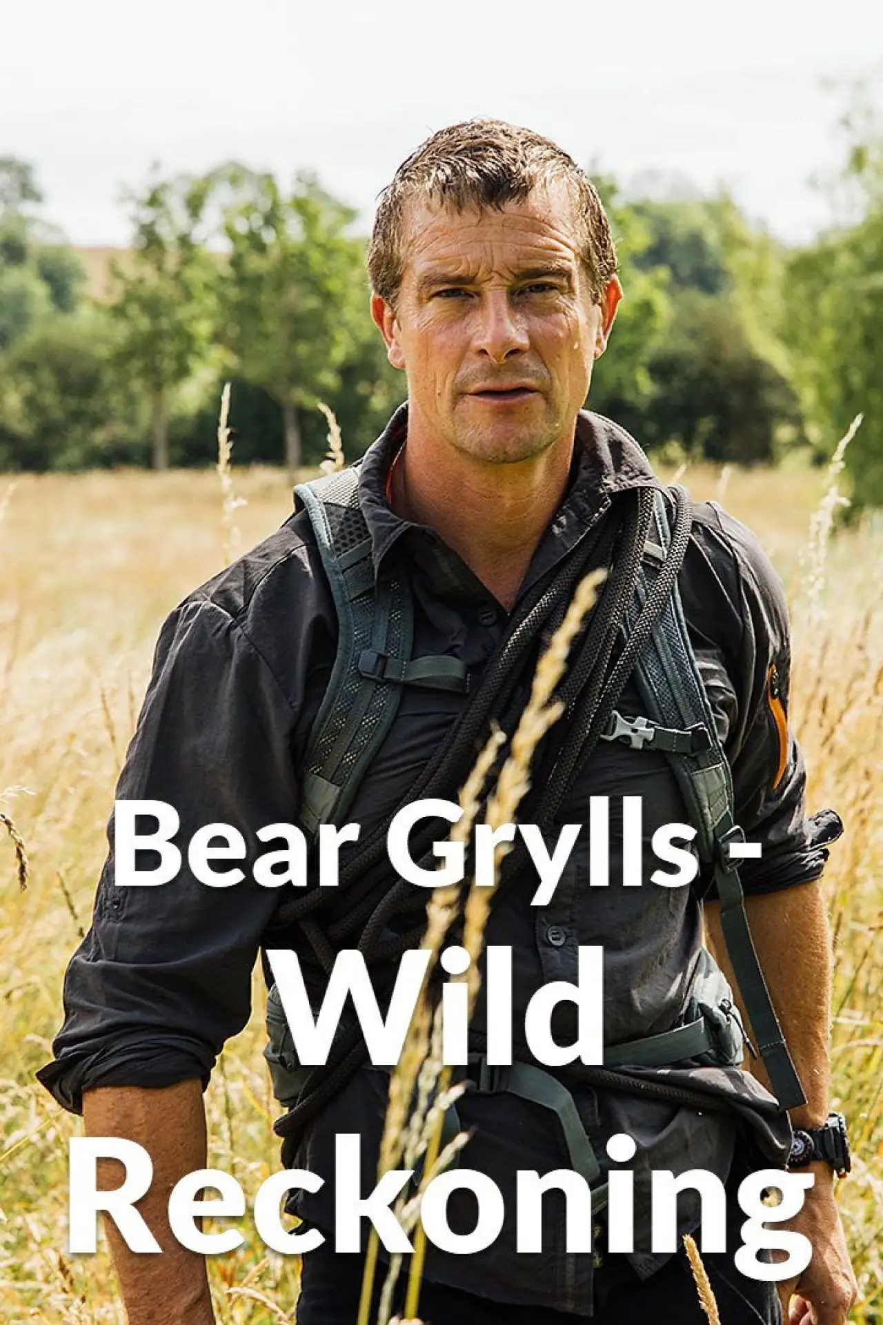 Постер к сериалу "Bear Grylls - Wild Reckoning"