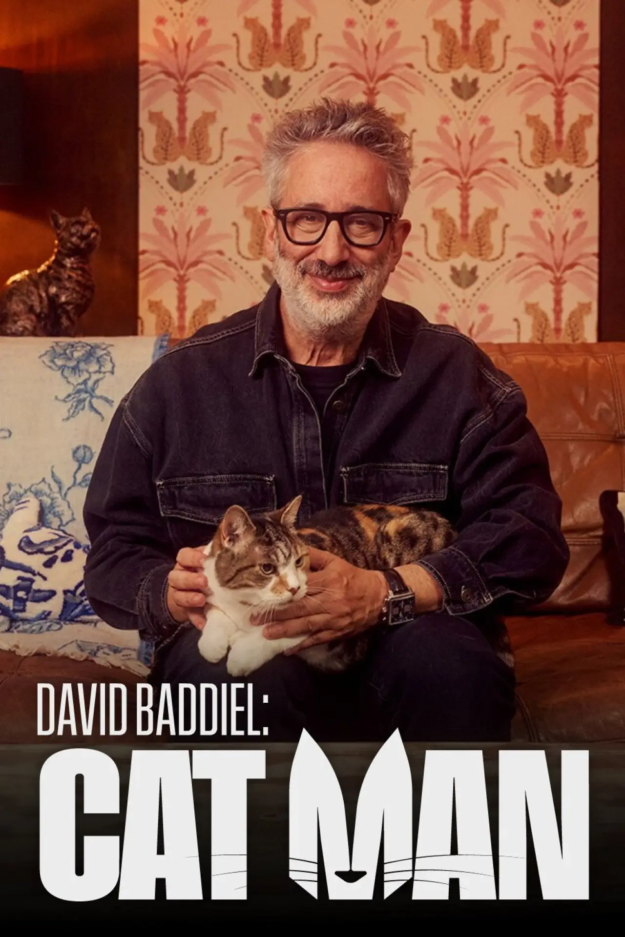 Постер к сериалу "Дэвид Баддиел: Кошачий человек"
