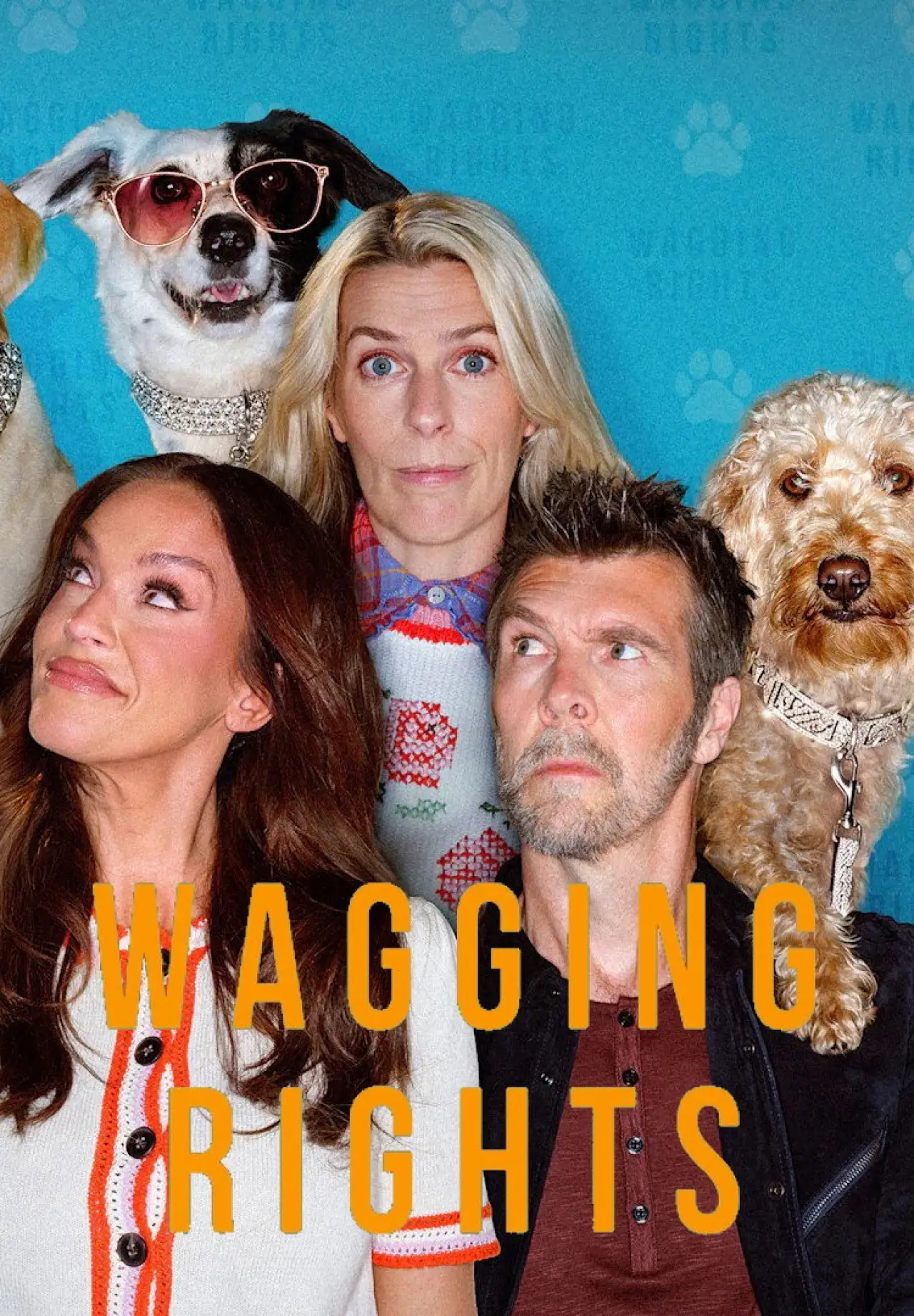 Постер к сериалу "Wagging Rights"