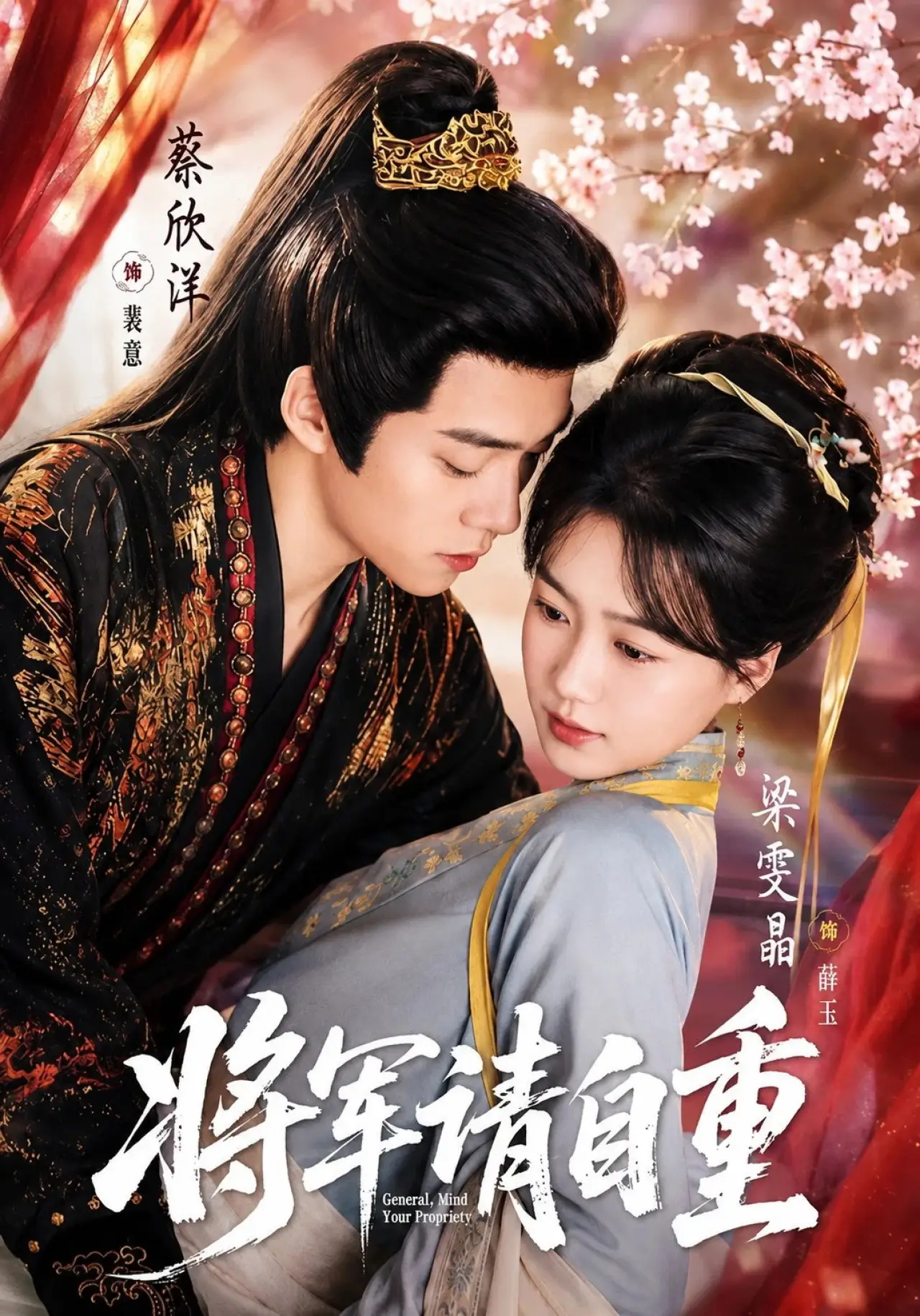 Постер к сериалу "将军请自重"