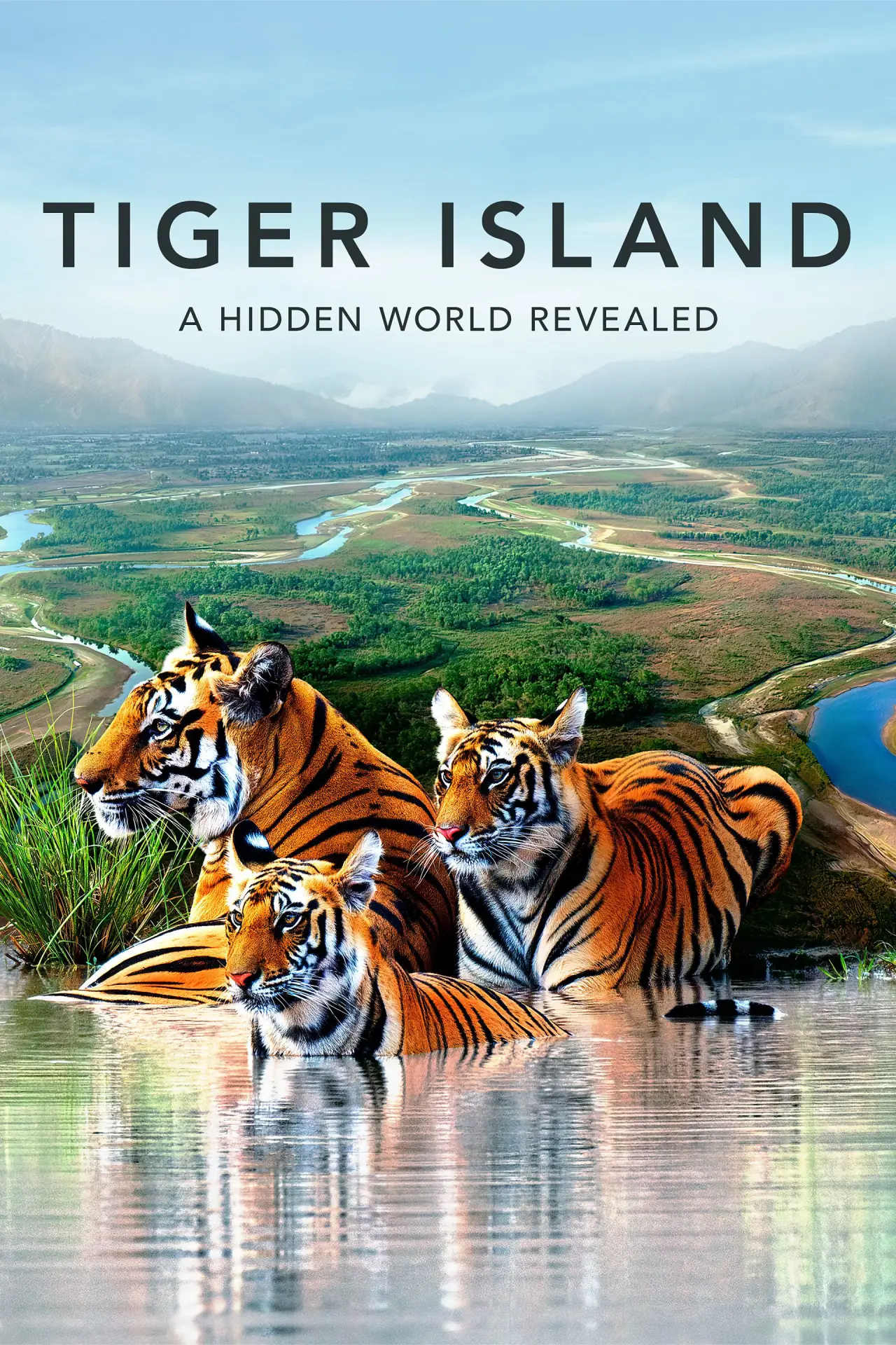 Постер к сериалу "Tiger Island"