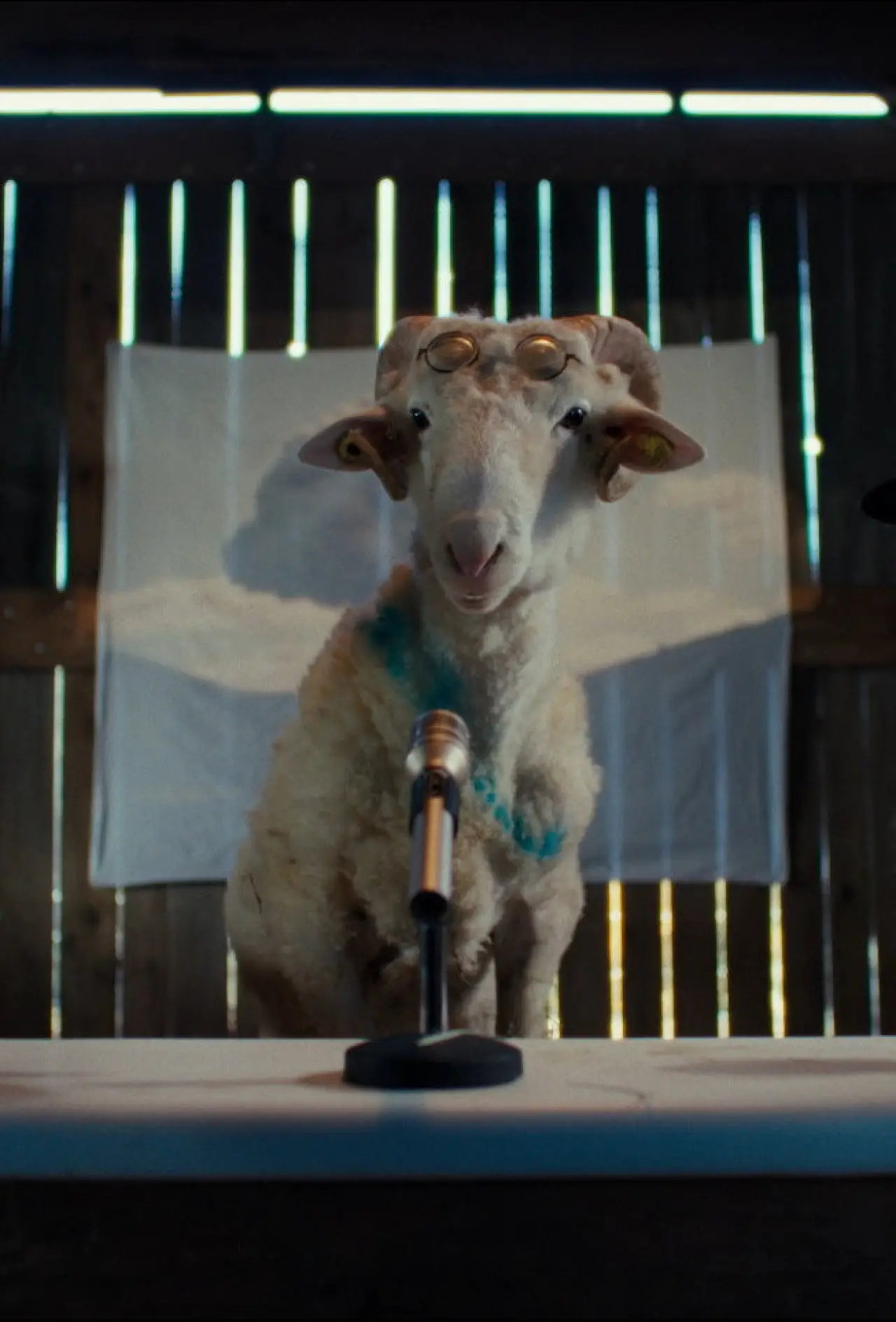Постер к сериалу "Sheep"