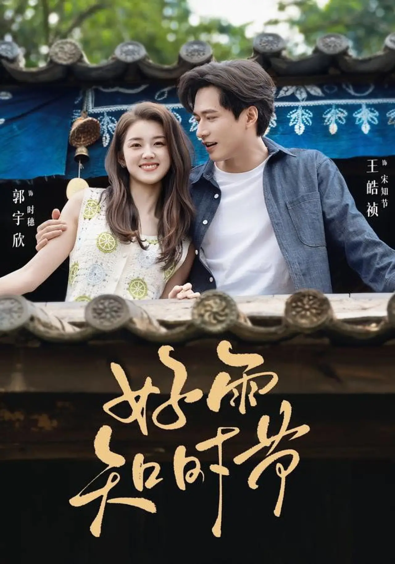 Постер к сериалу "好雨知时节"