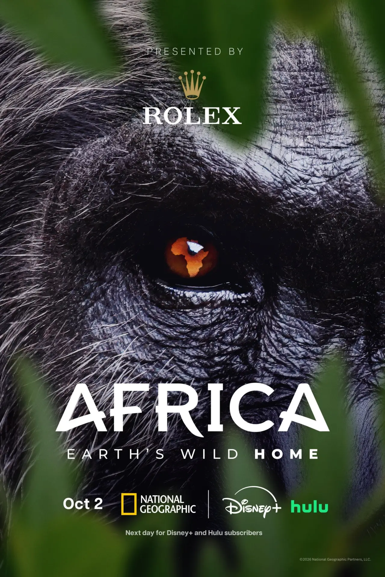 Постер к сериалу "Africa Earth