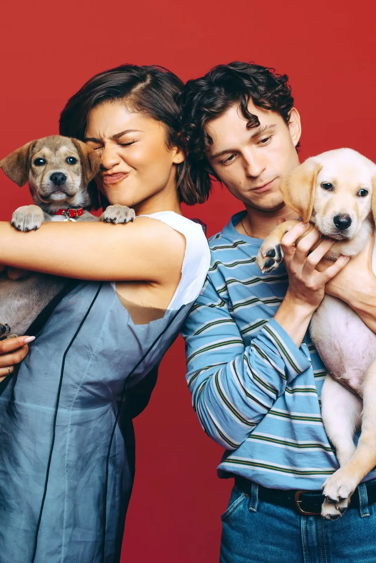Постер к сериалу "Celebs Play With Puppies & Kittens"