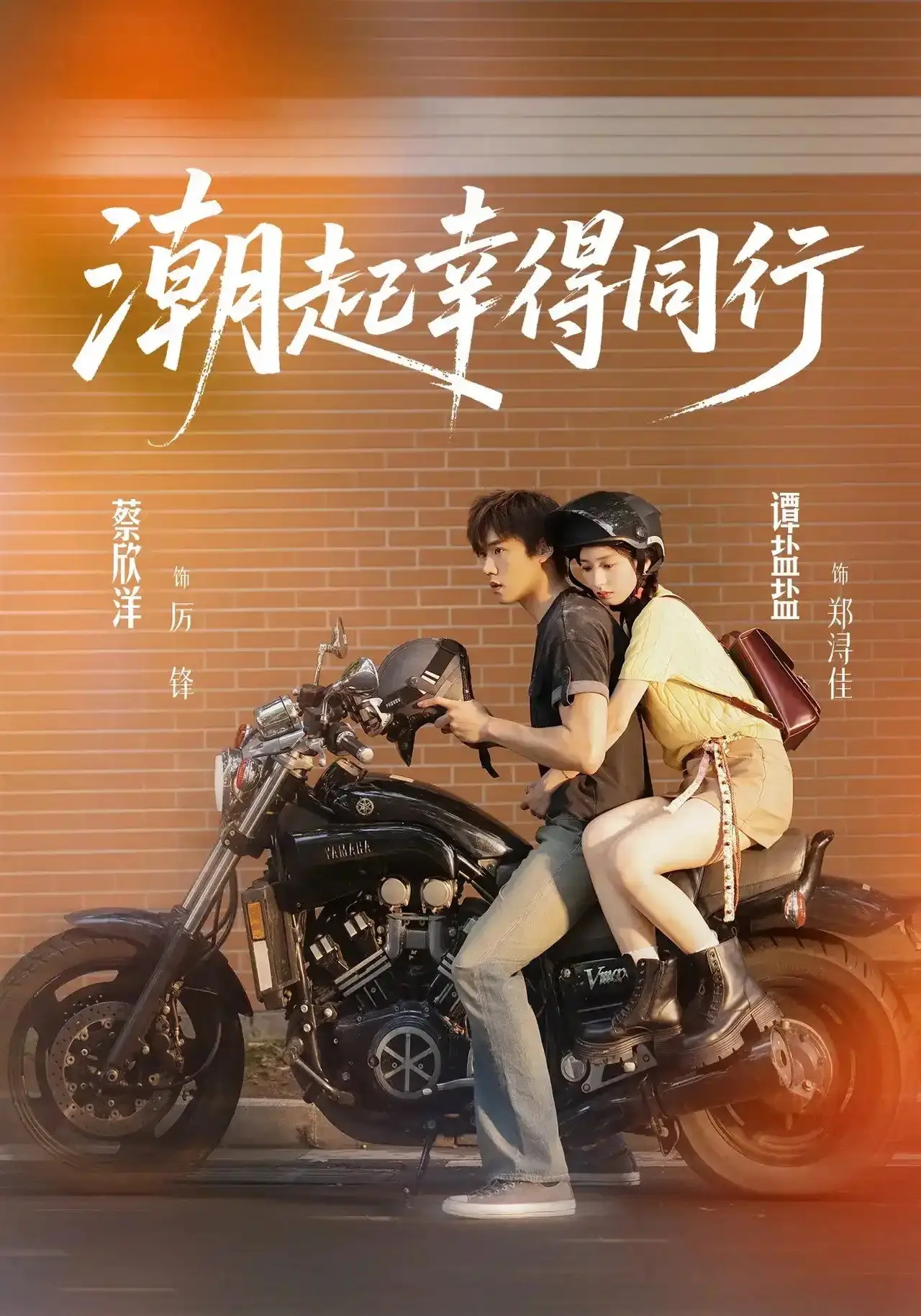 Постер к сериалу "潮起幸得同行"