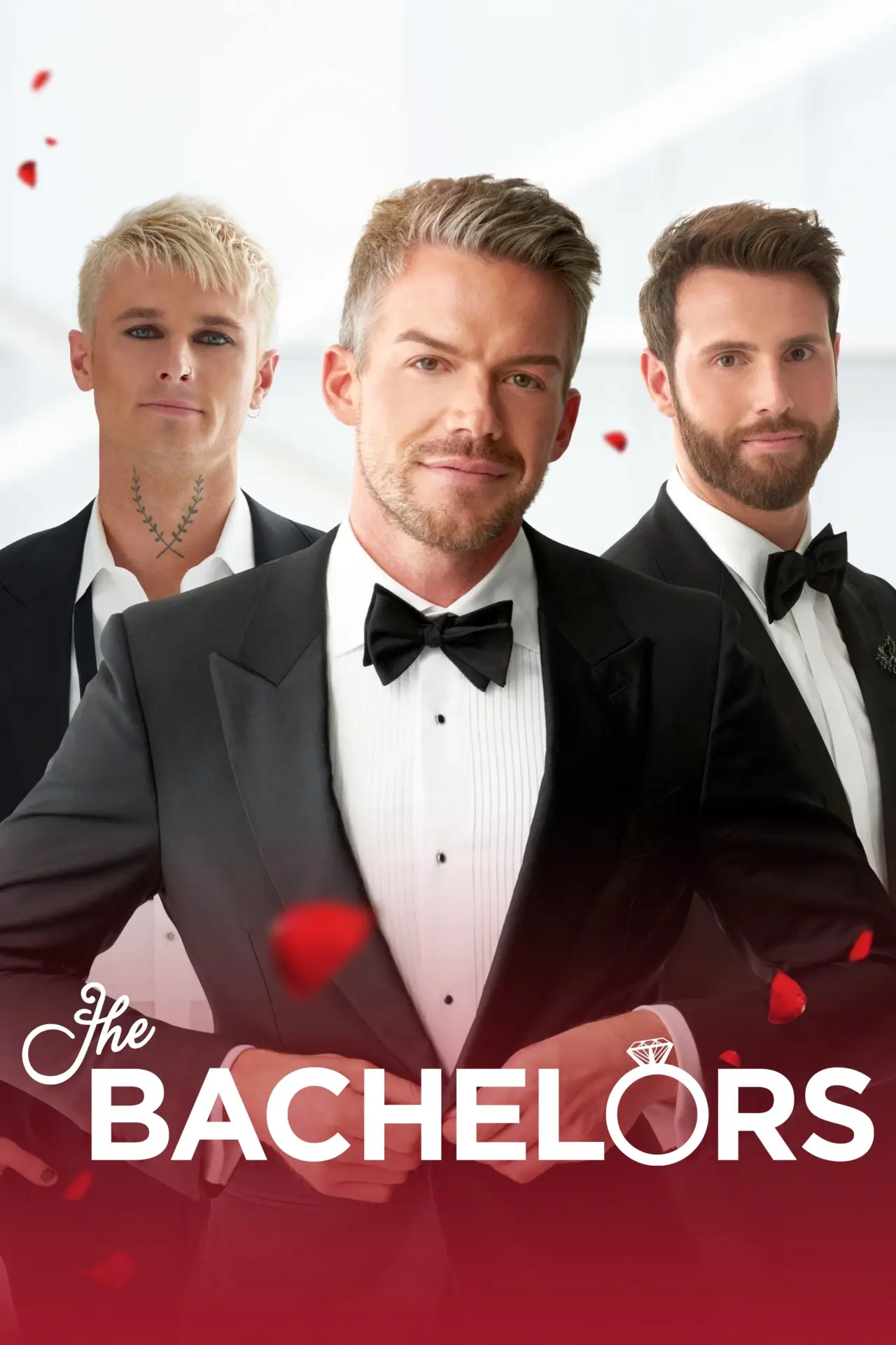 Постер к сериалу "Холостяк"