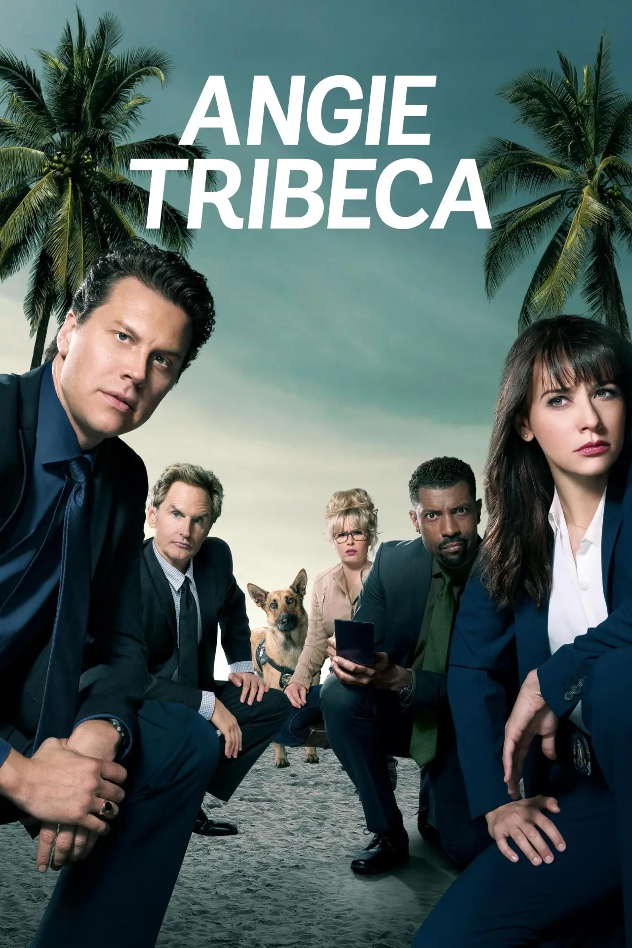 Постер к сериалу "Энджи Трайбека"