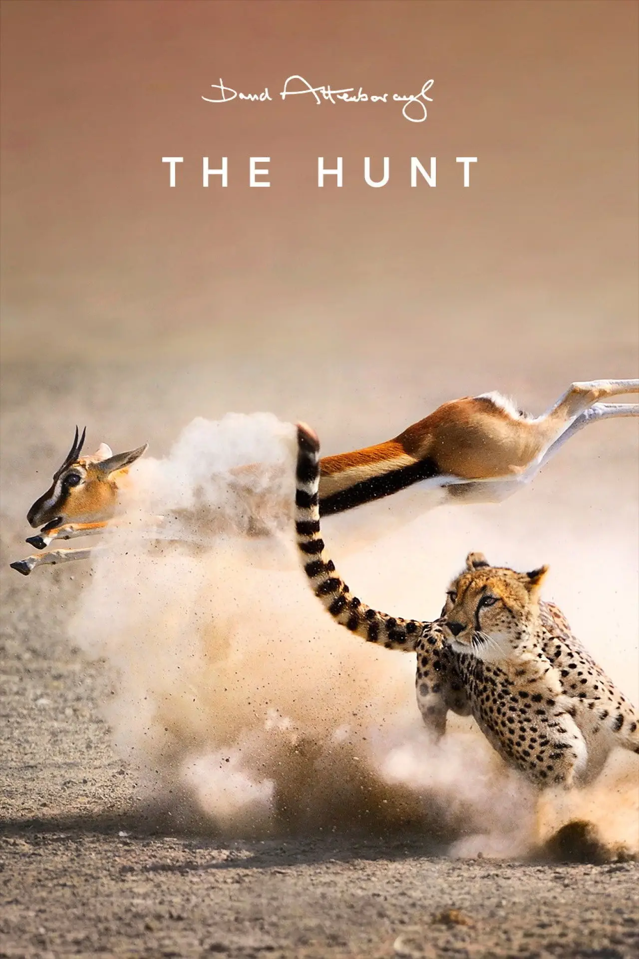 Постер к сериалу "The Hunt"