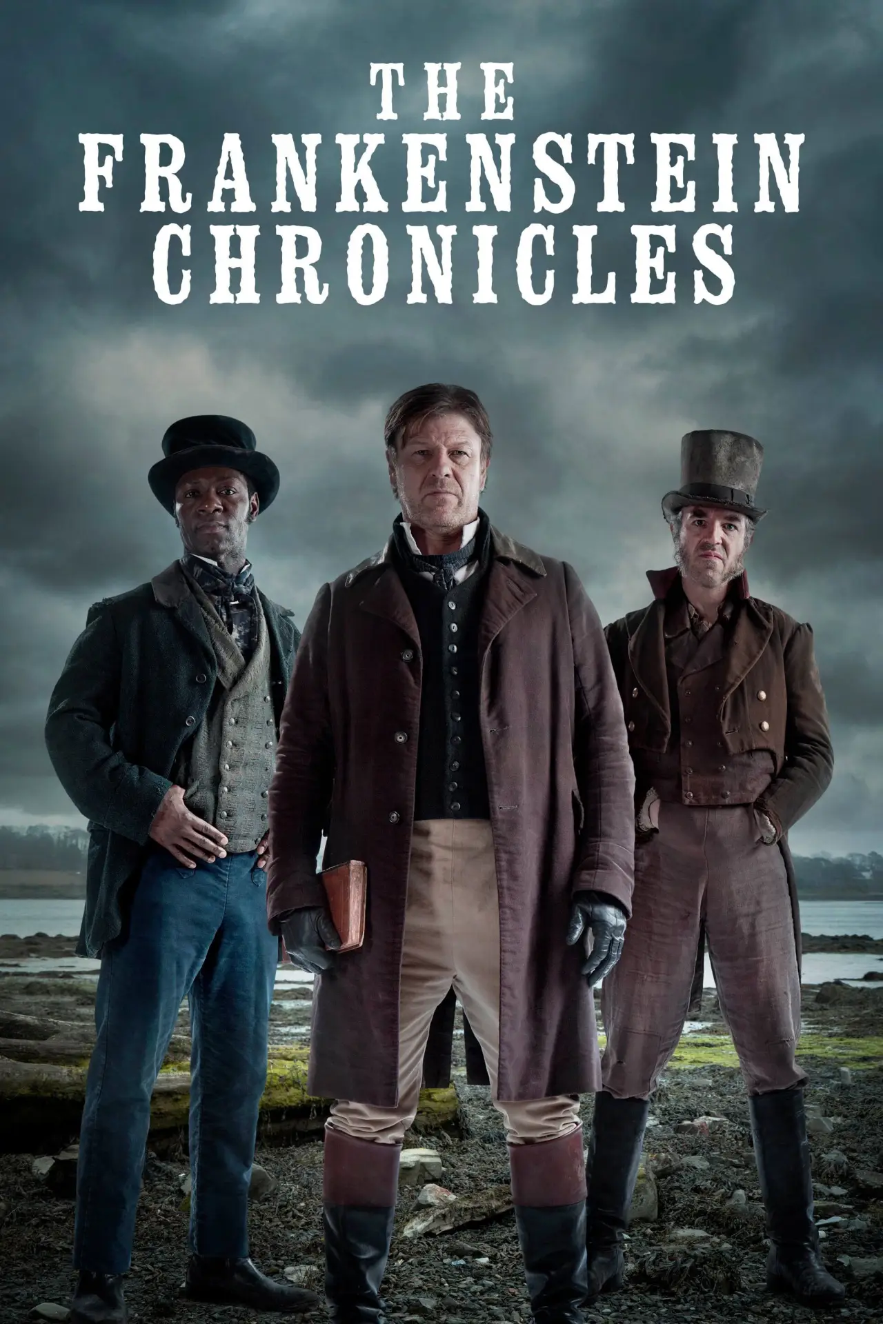 Постер к сериалу "Хроники Франкенштейна"