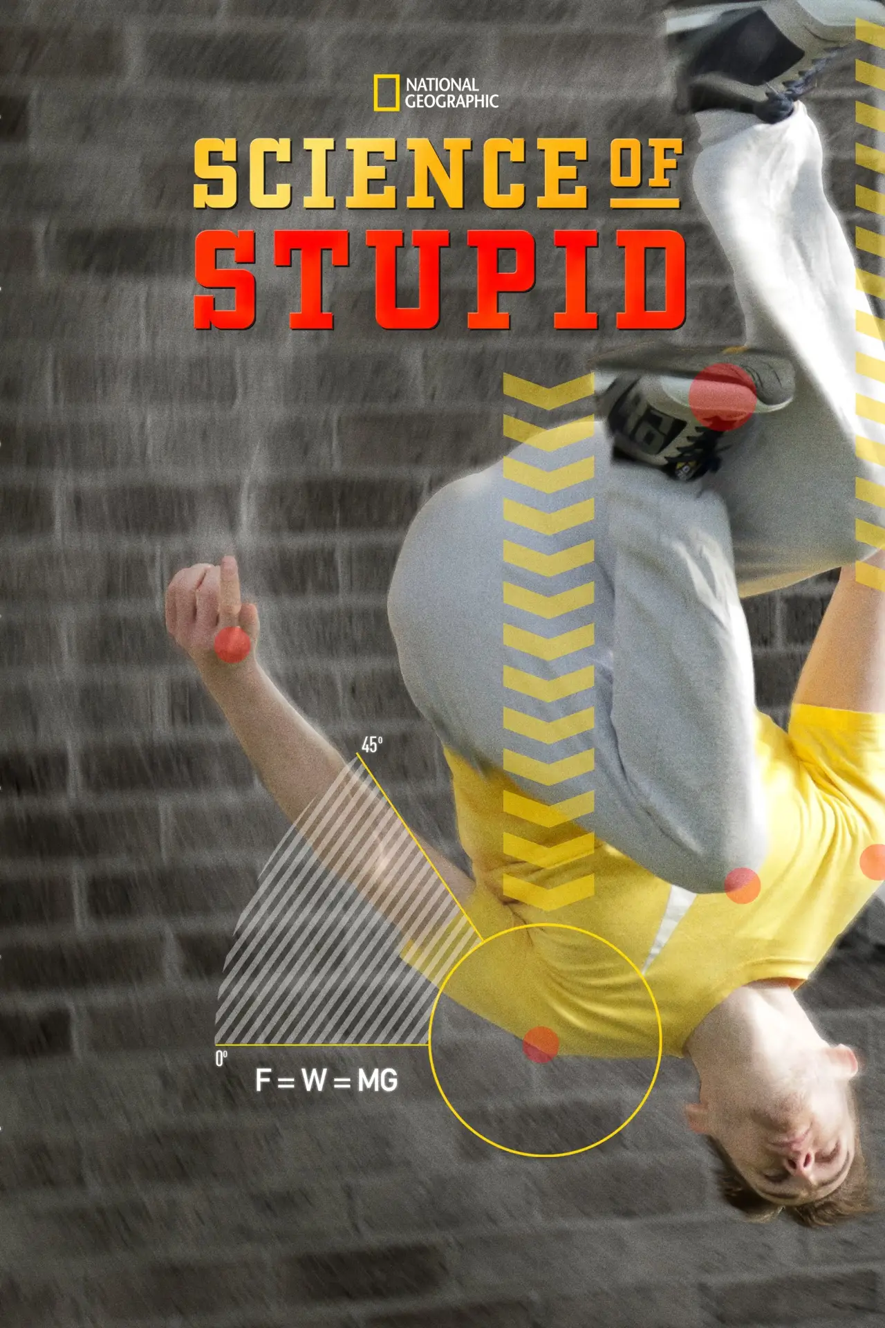 Постер к сериалу "Science of Stupid"