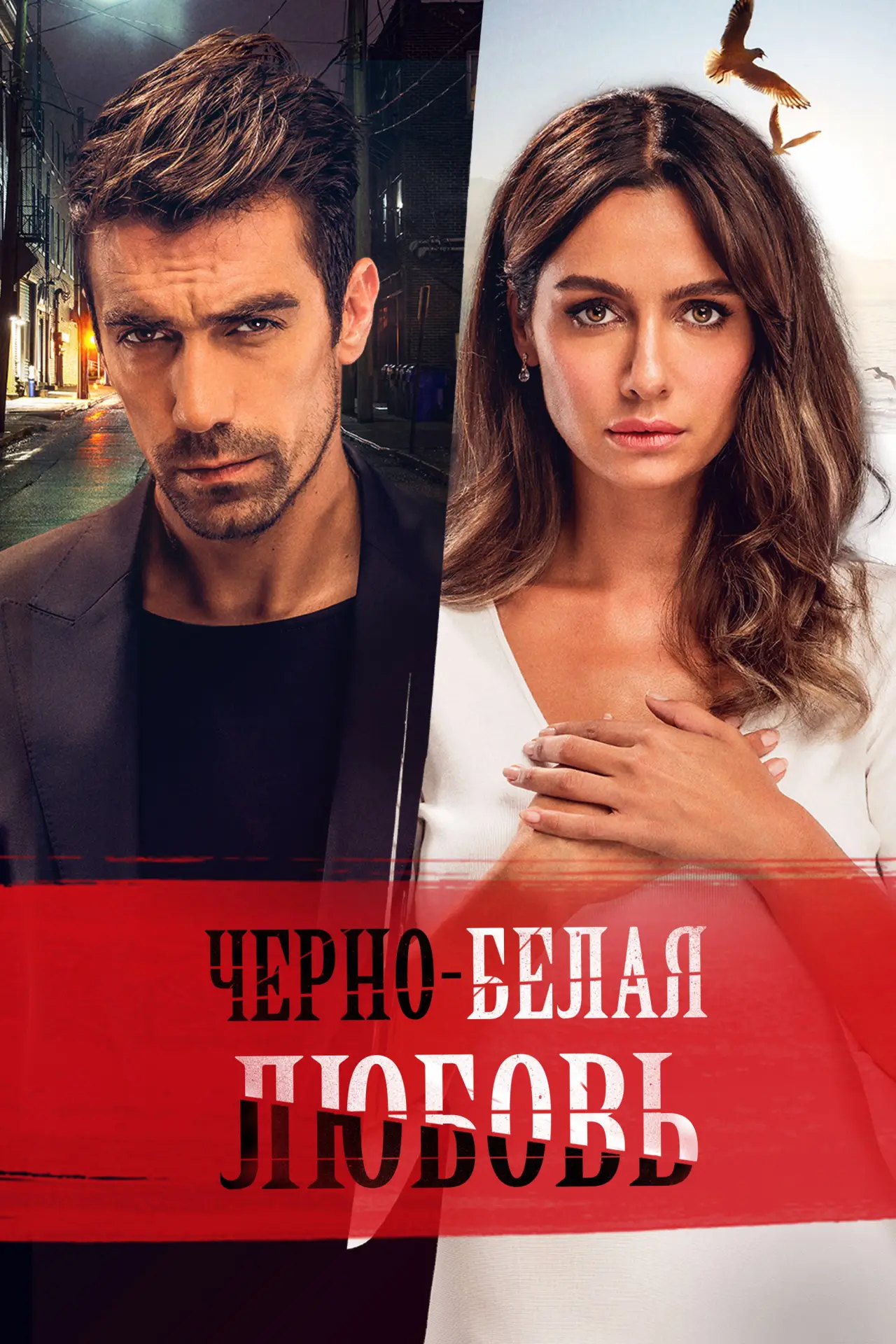 Постер к сериалу "Чёрно-белая любовь"