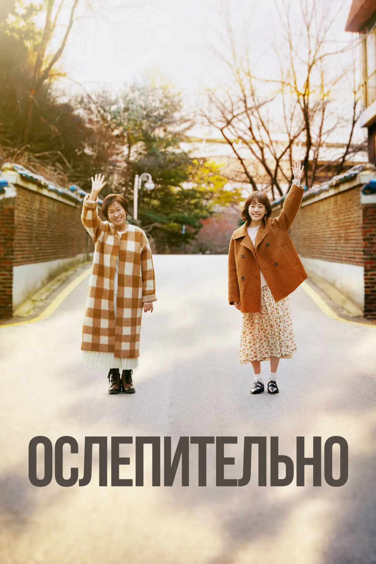 Постер к сериалу "Ослепительно"