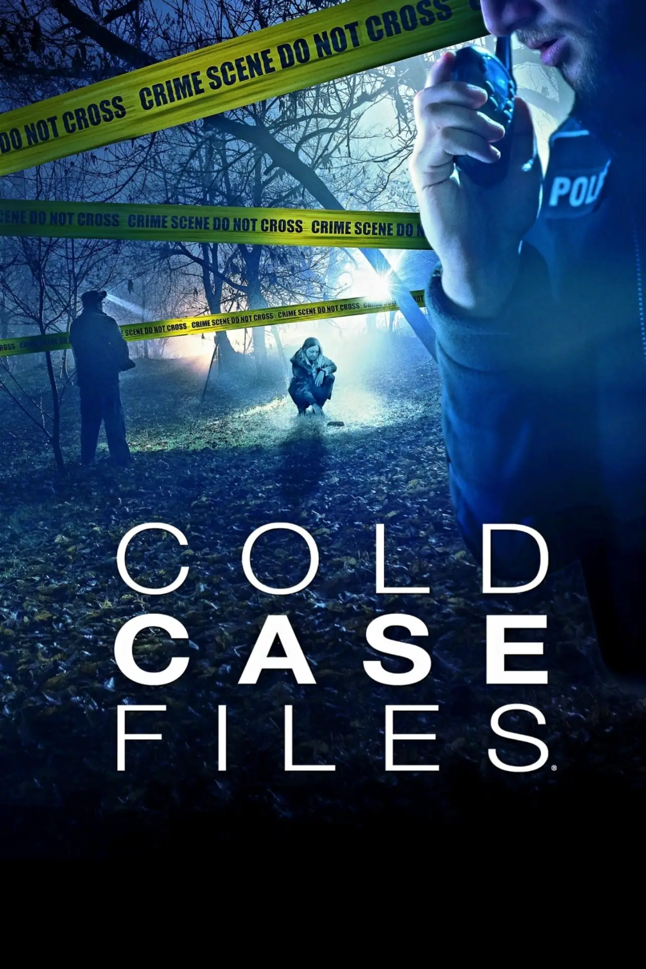Постер к сериалу "Cold Case Files"