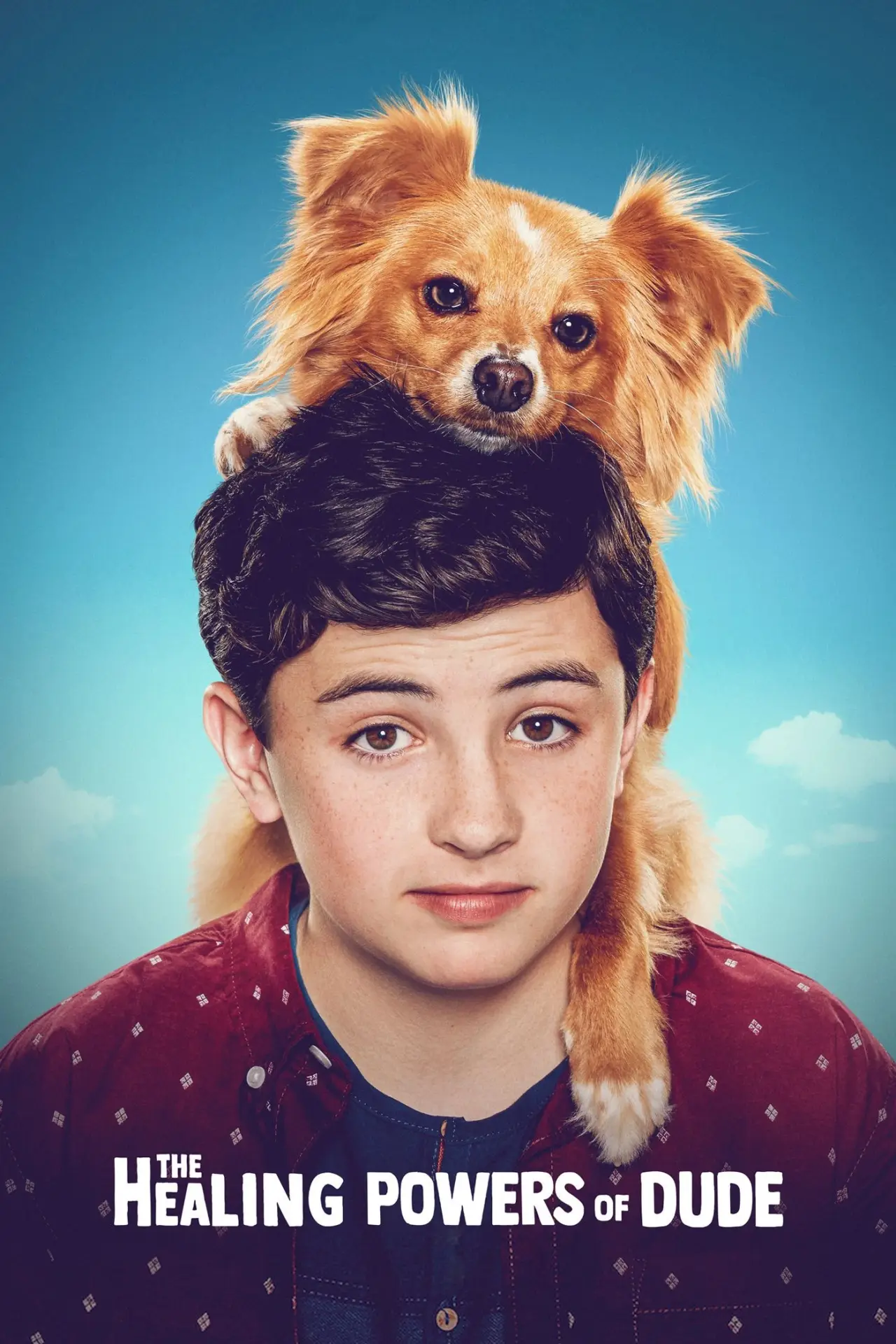 Постер к сериалу "The Healing Powers of Dude"