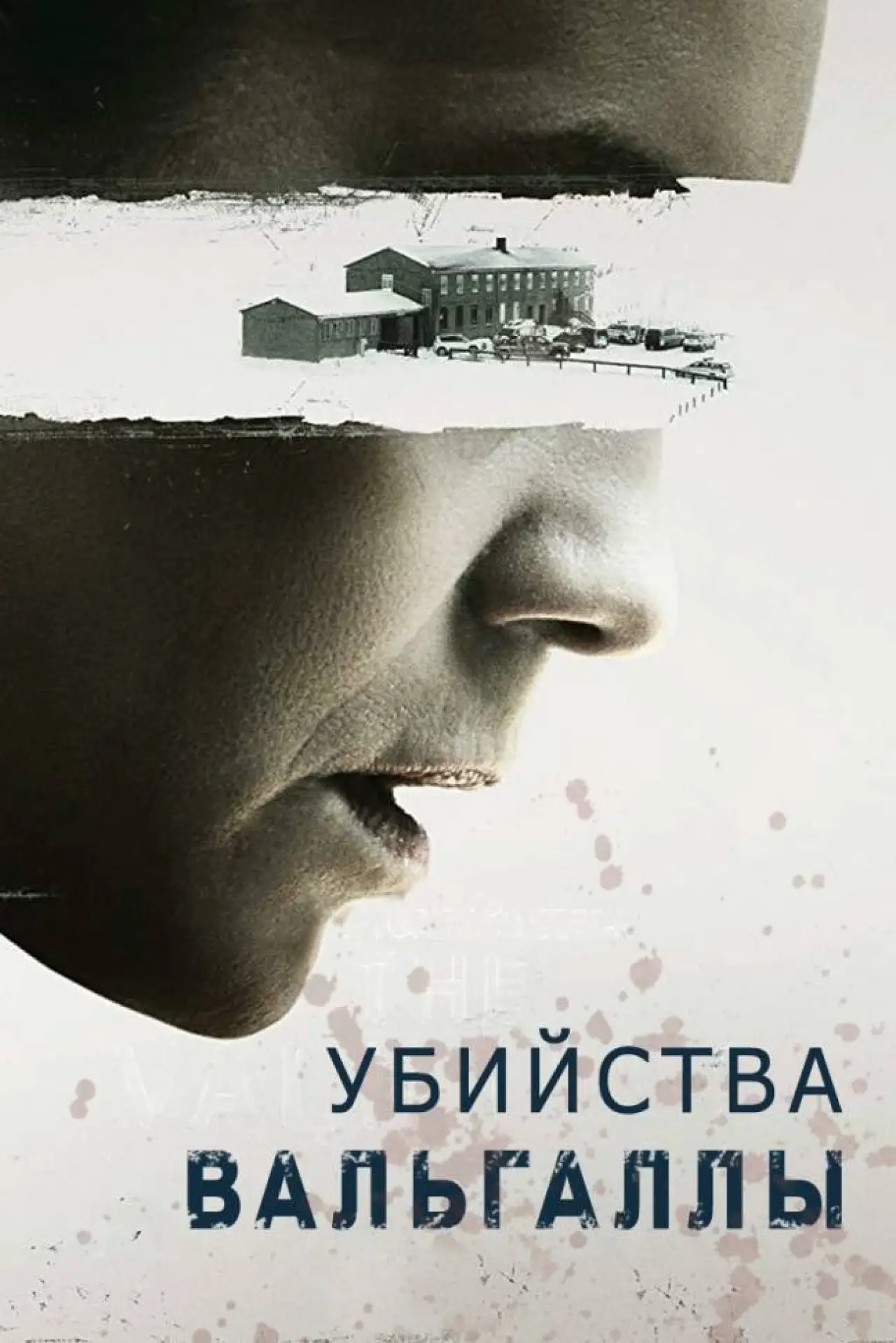 Постер к сериалу "Убийства Вальгаллы"