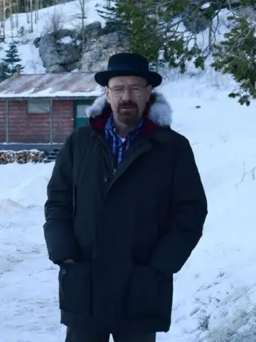 Постер к сериалу "Во все тяжкие" #1213749