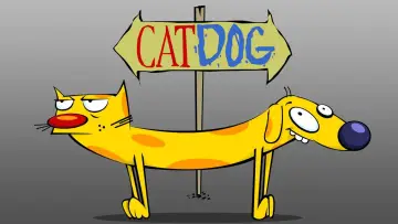 Задник к сериалу "Котопес" #1337356
