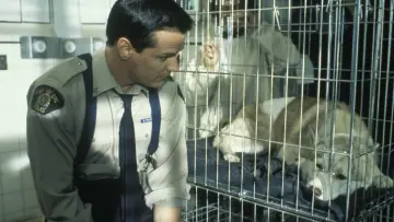 Задник к сериалу "Строго на юг" #1333303