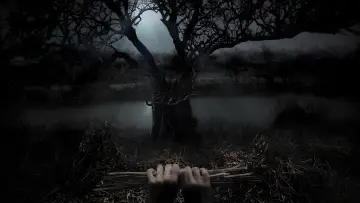 Задник к сериалу "Королевский госпиталь" #1607885