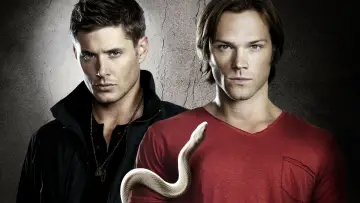 Задник к сериалу "Сверхъестественное" #1232771